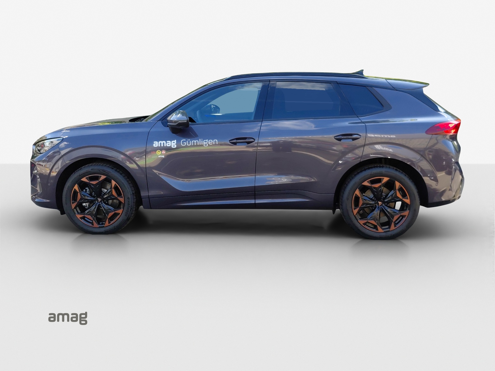 CUPRA Terramar 2.0 TSI DSG 4Drive-image-1