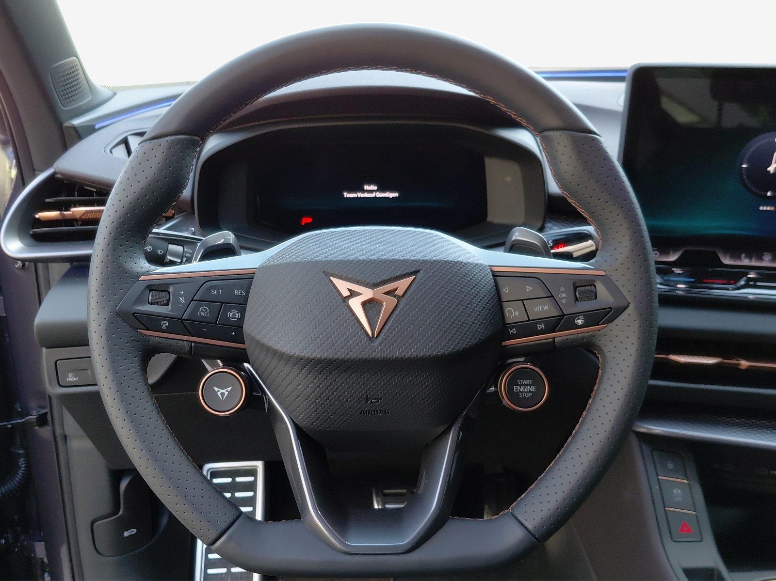 CUPRA Terramar 2.0 TSI DSG 4Drive-image-9