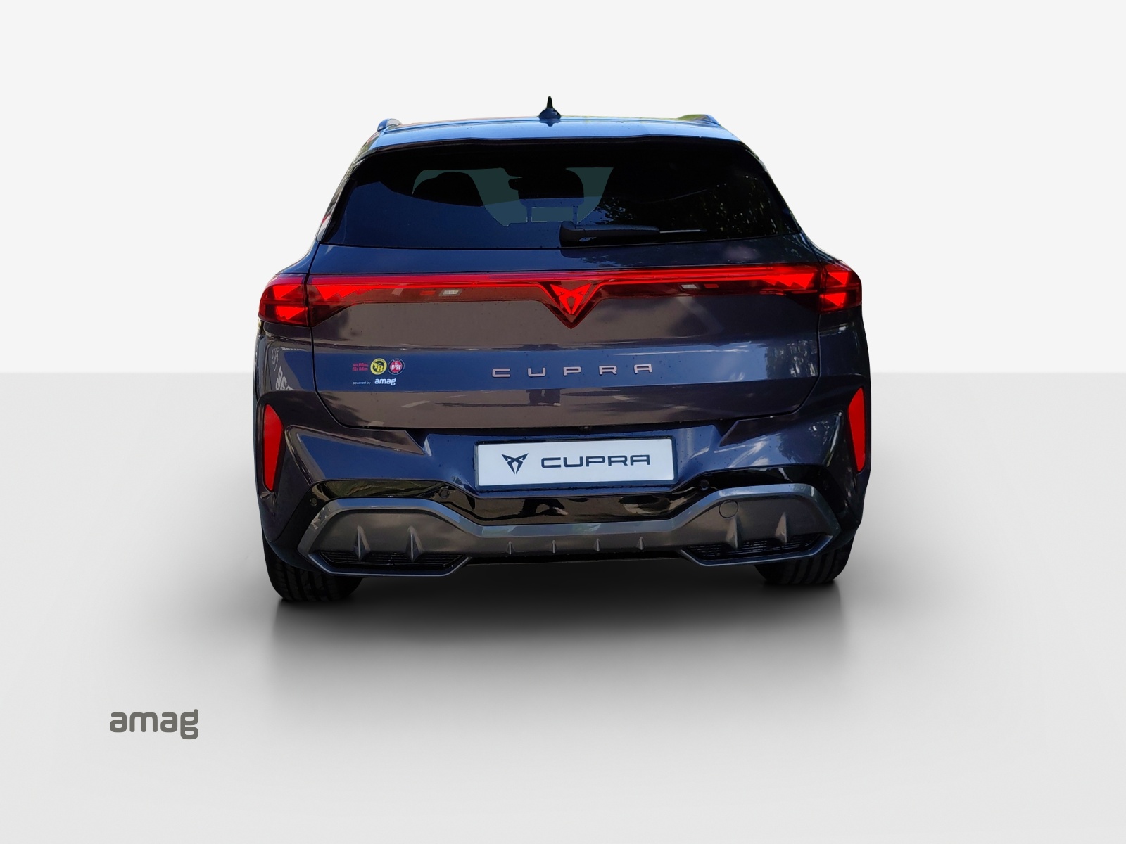 CUPRA Terramar 2.0 TSI DSG 4Drive-image-3