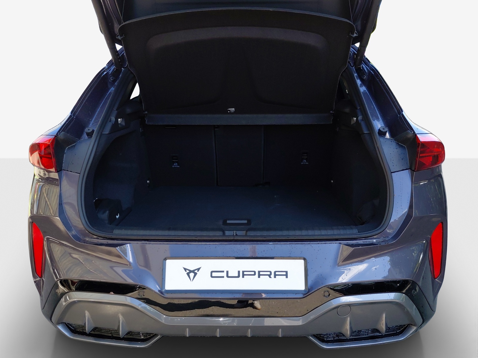 CUPRA Terramar 2.0 TSI DSG 4Drive-image-12