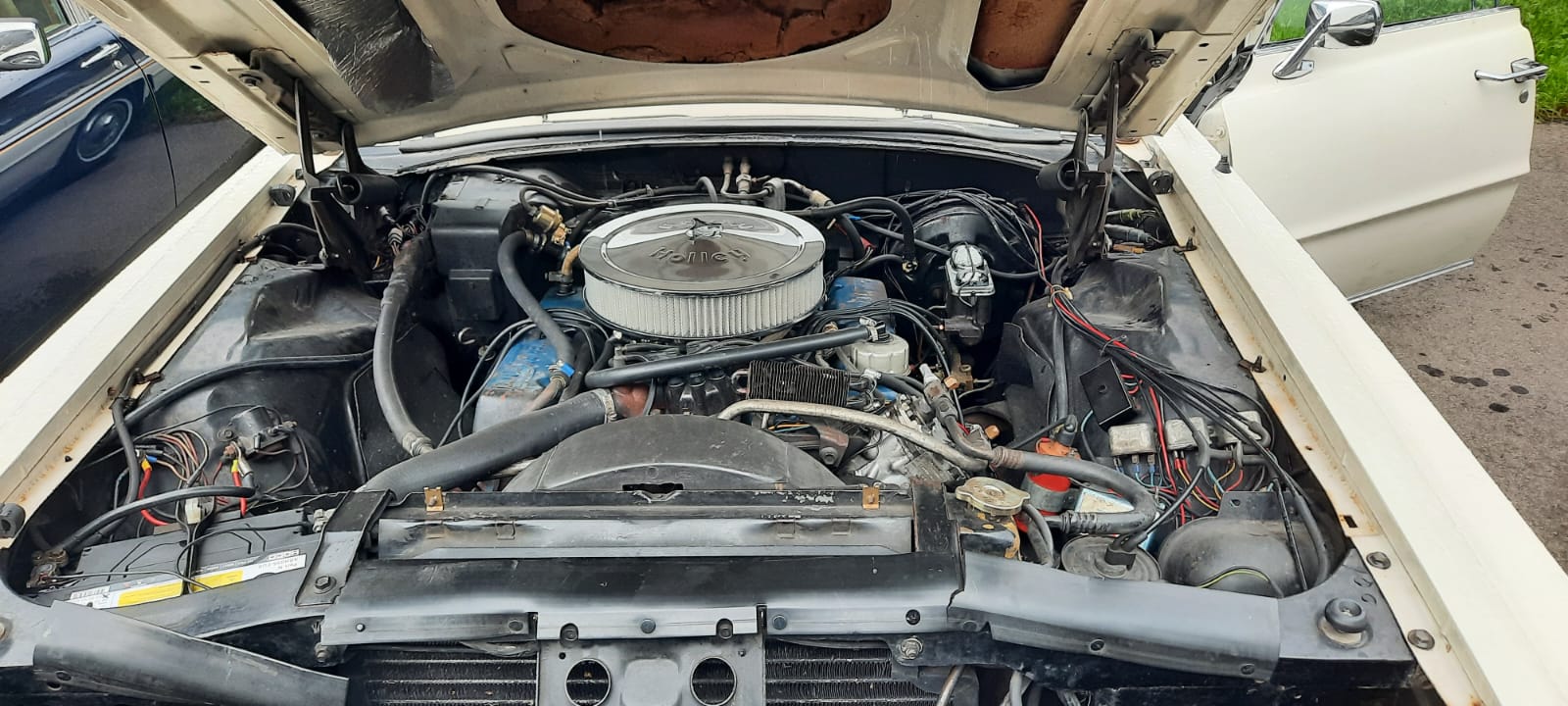 FORD Thunderbird-image-5