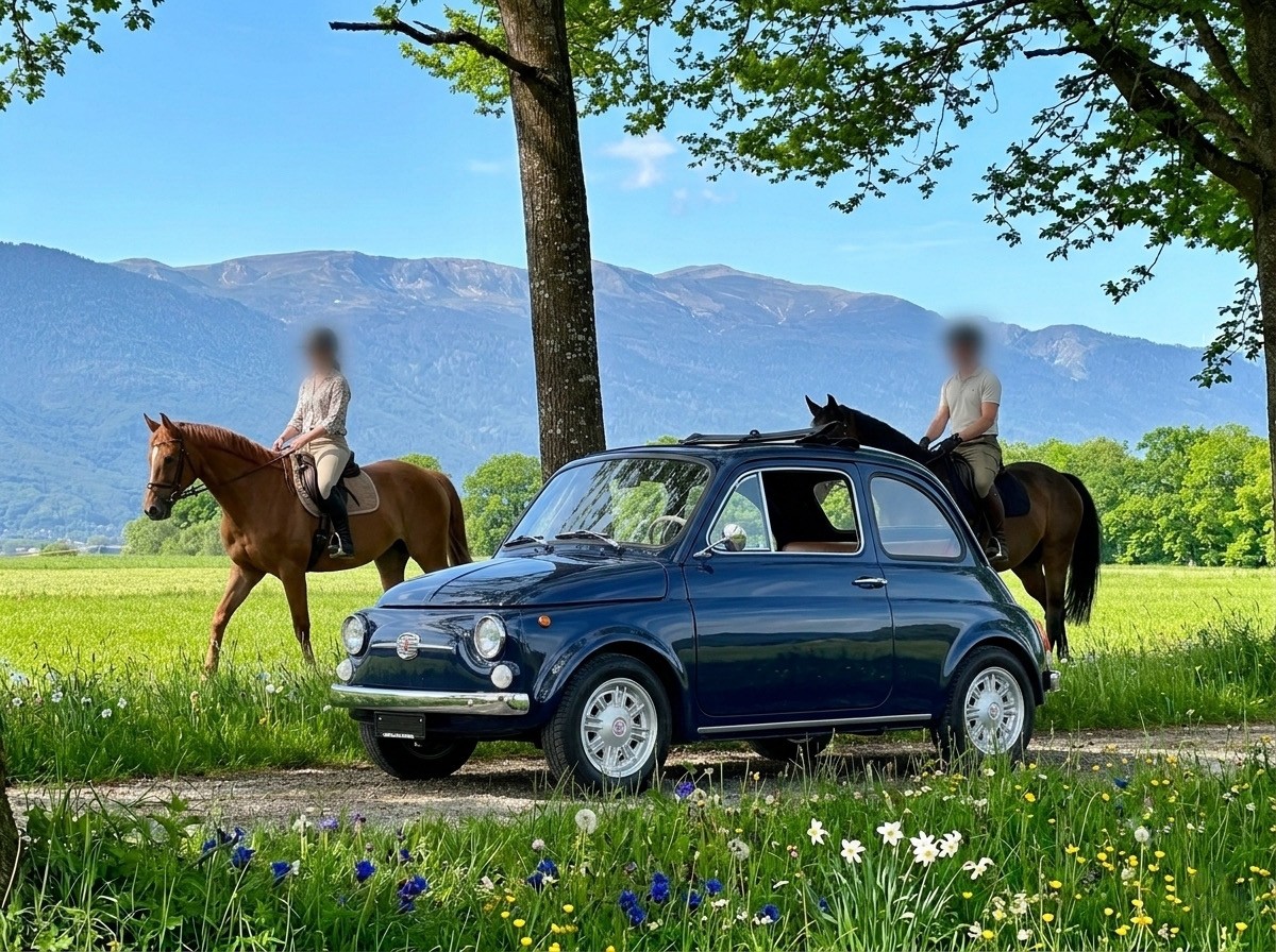 FIAT 500 Nuova 110F-image-0