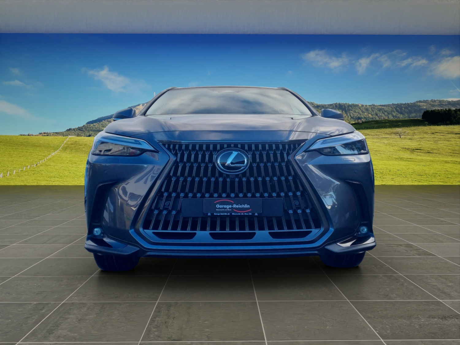 LEXUS NX 450h+ Excellence-image-7