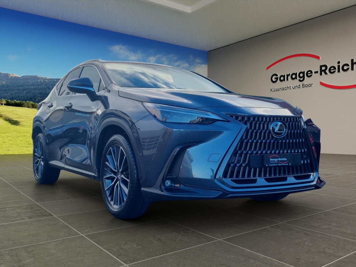 LEXUS NX 450h+ Excellence-image-6
