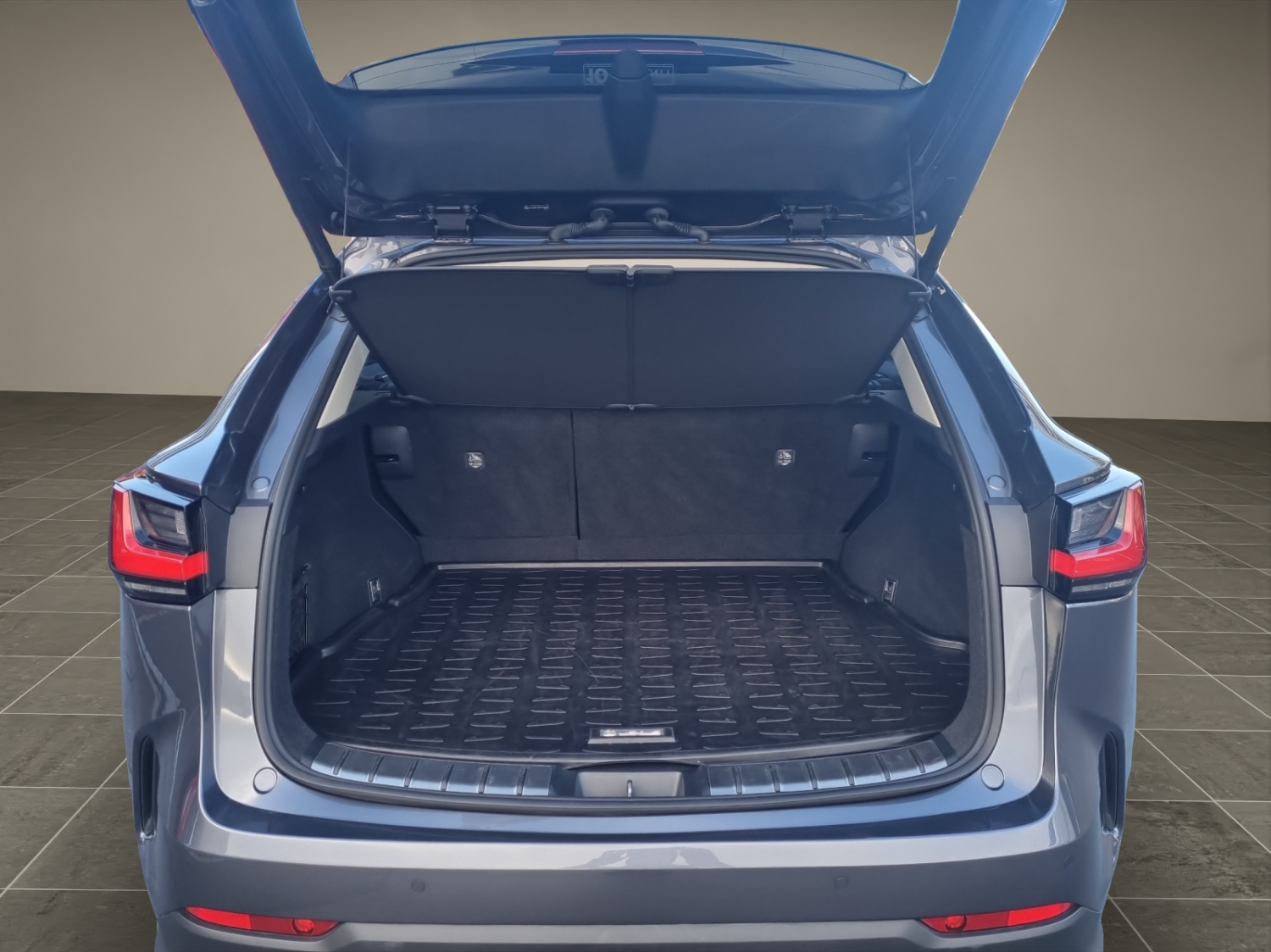 LEXUS NX 450h+ Excellence-image-13