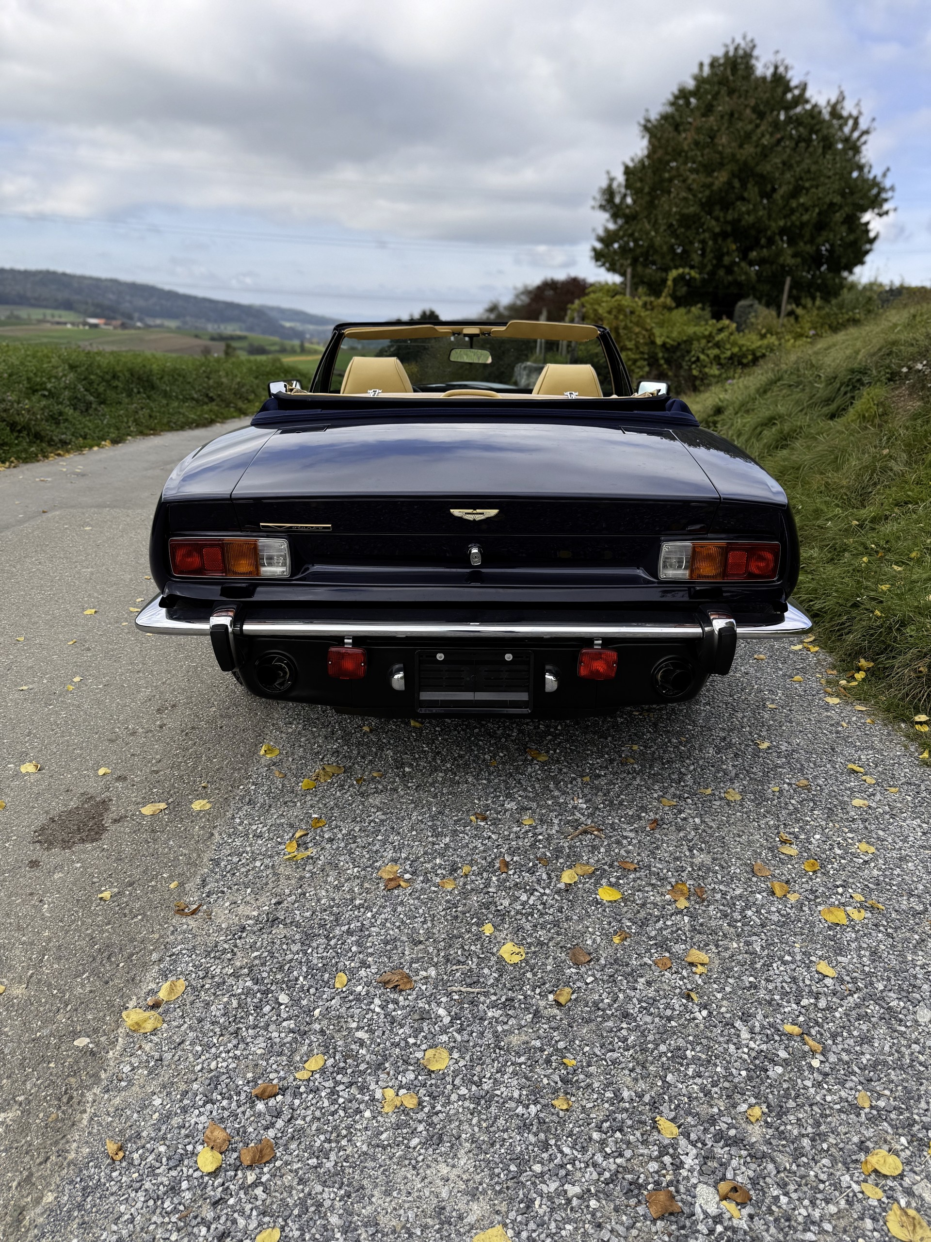 ASTON MARTIN Volante V8 (Veteranenfahrzeug)-image-3