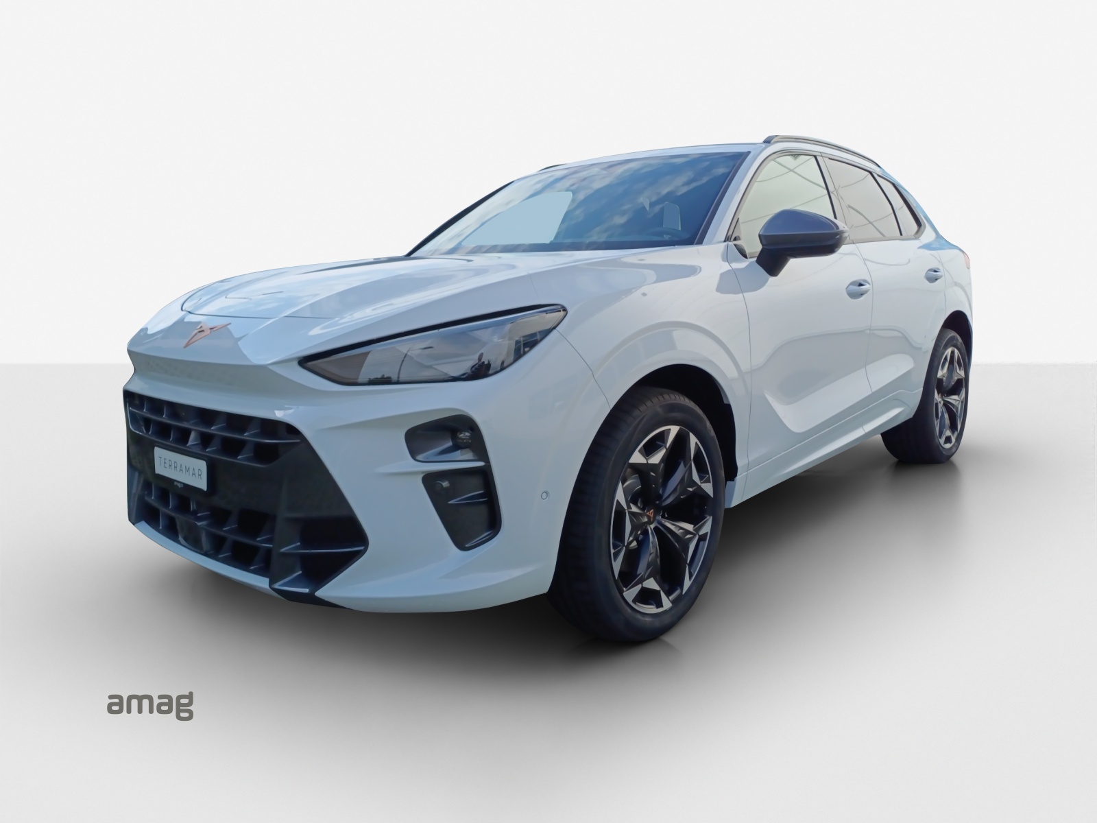 CUPRA Terramar 2.0 TSI DSG 4Drive VZ-image-0