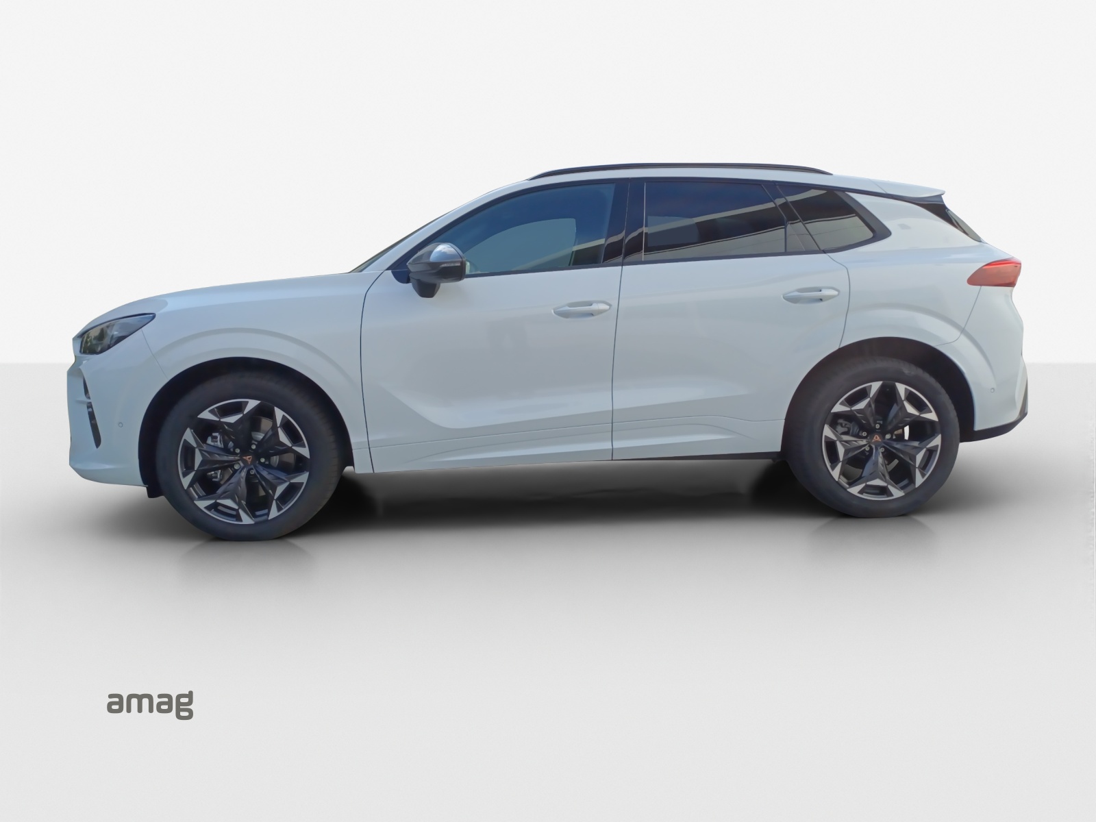 CUPRA Terramar 2.0 TSI DSG 4Drive VZ-image-1