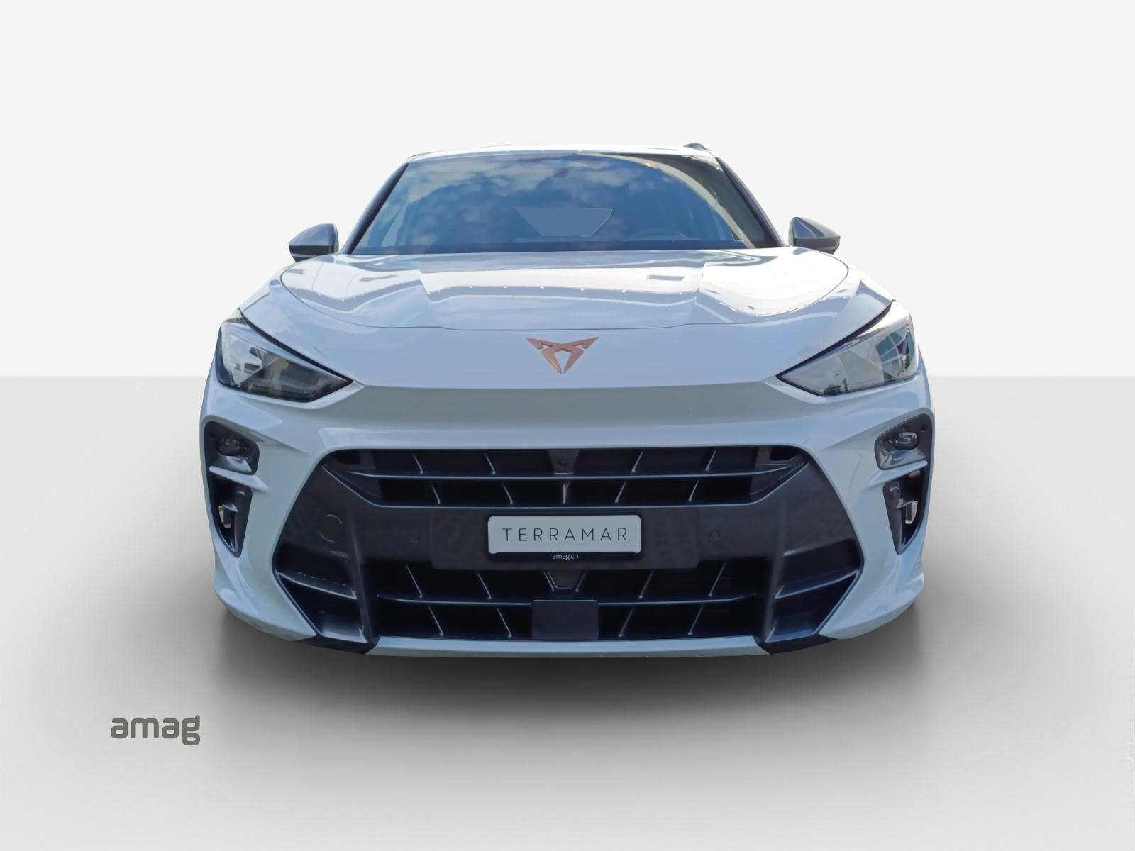 CUPRA Terramar 2.0 TSI DSG 4Drive VZ-image-6