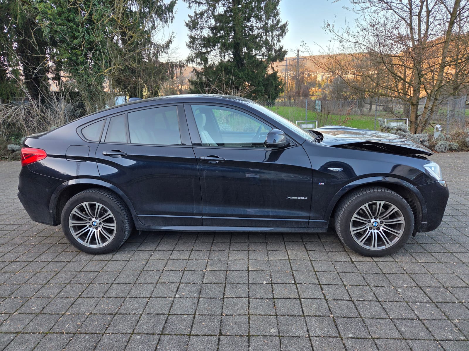 BMW X4 xDrive 30d xLine Steptronic-image-3
