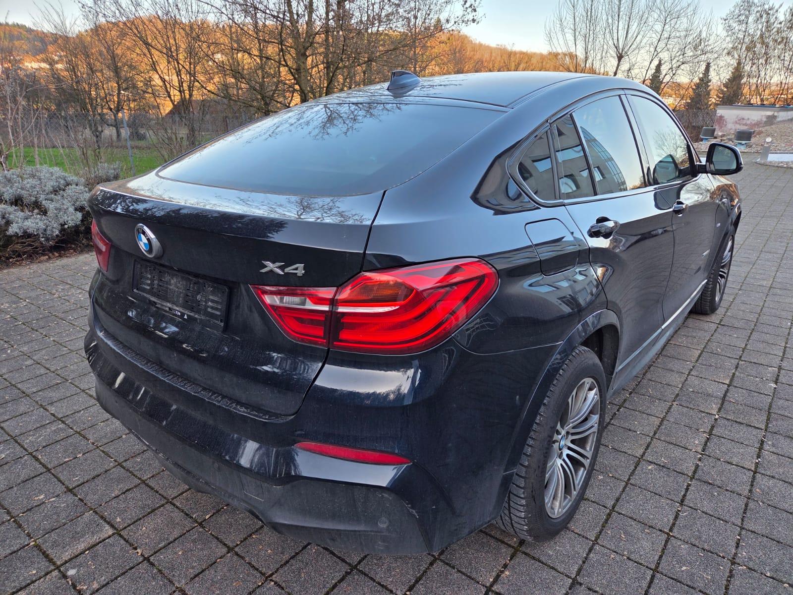 BMW X4 xDrive 30d xLine Steptronic-image-6