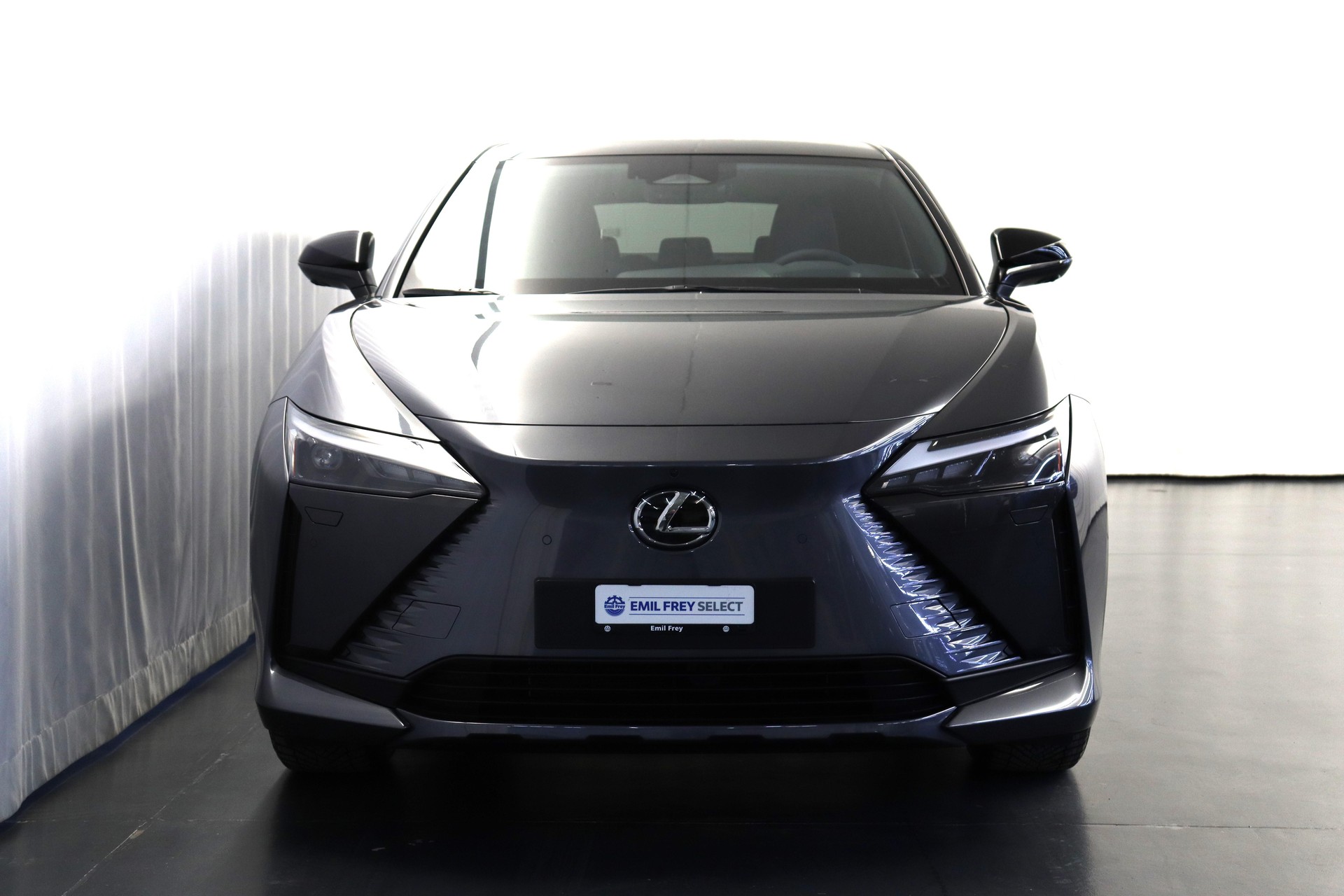 LEXUS RZ 450e Excellence-image-10