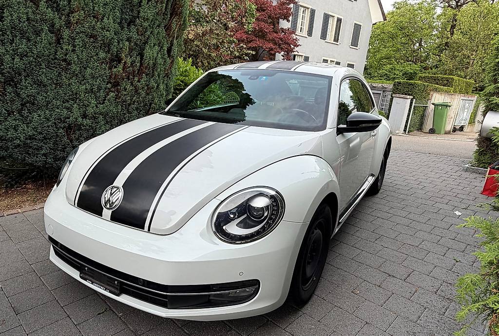 VW BEETLE-image-0
