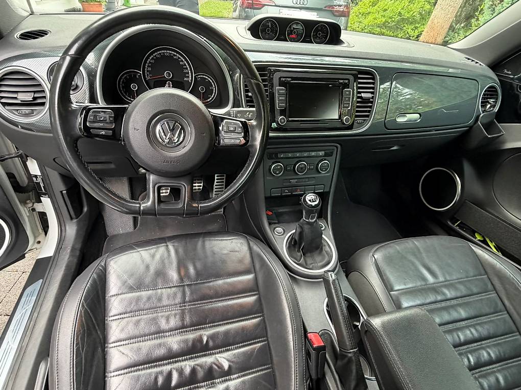 VW BEETLE-image-2