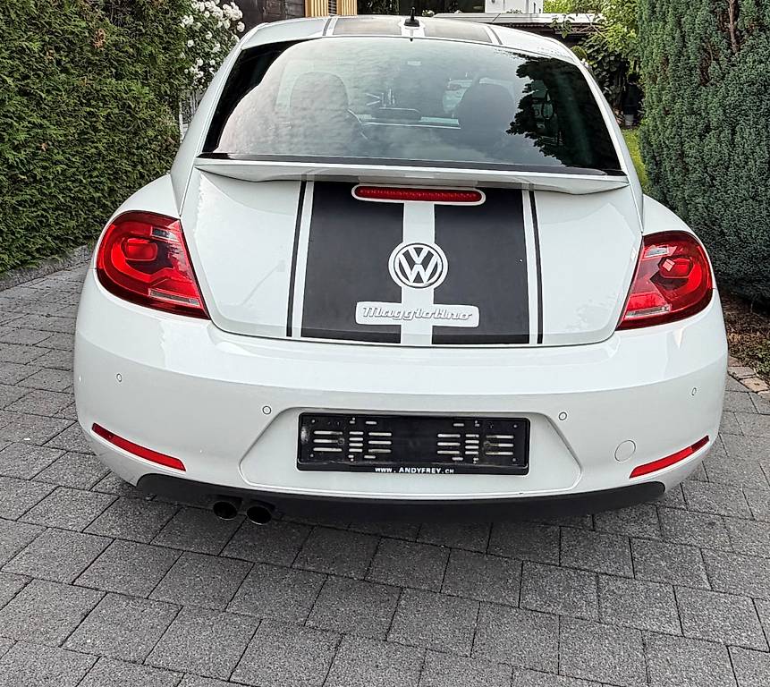 VW BEETLE-image-3
