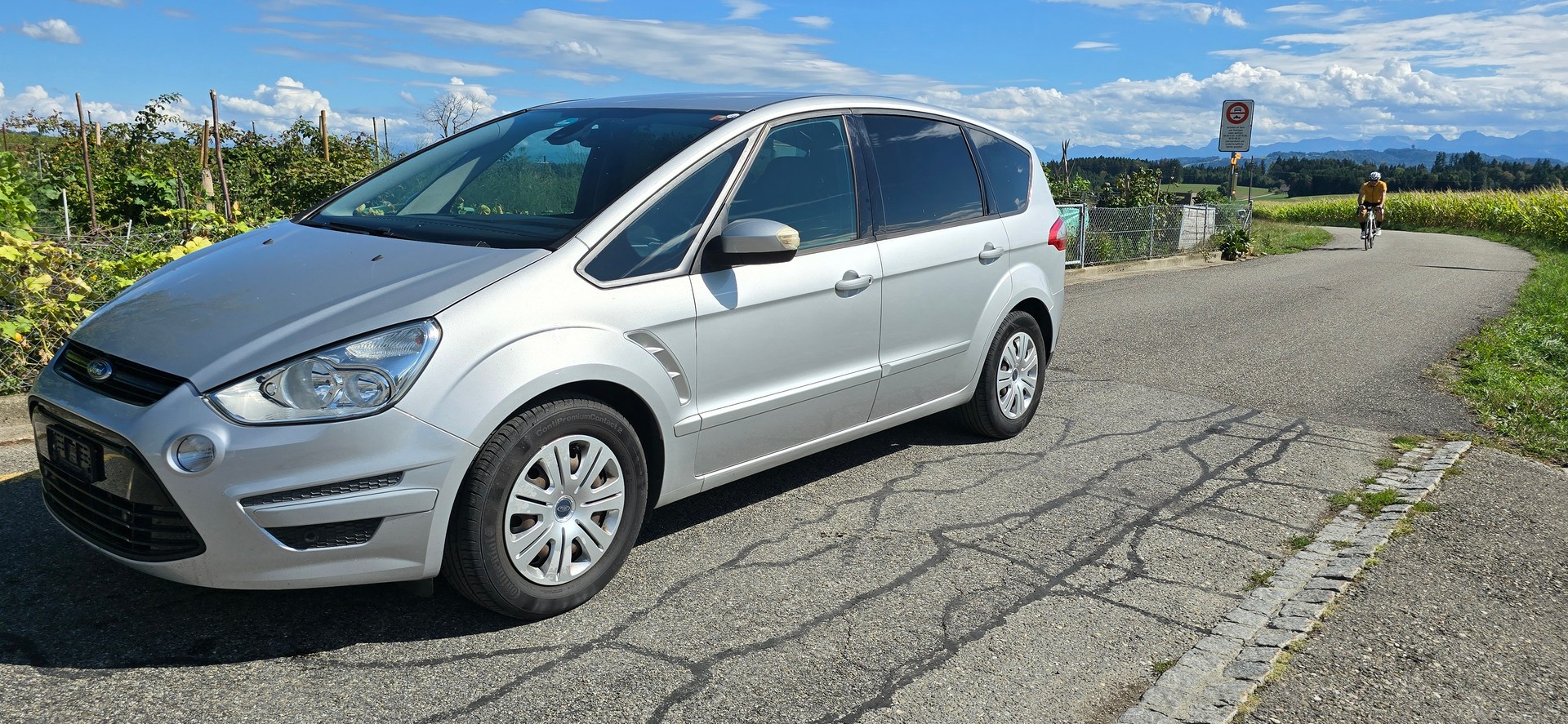 FORD S-Max 2.0 TDCi Carving PowerShift-image-2