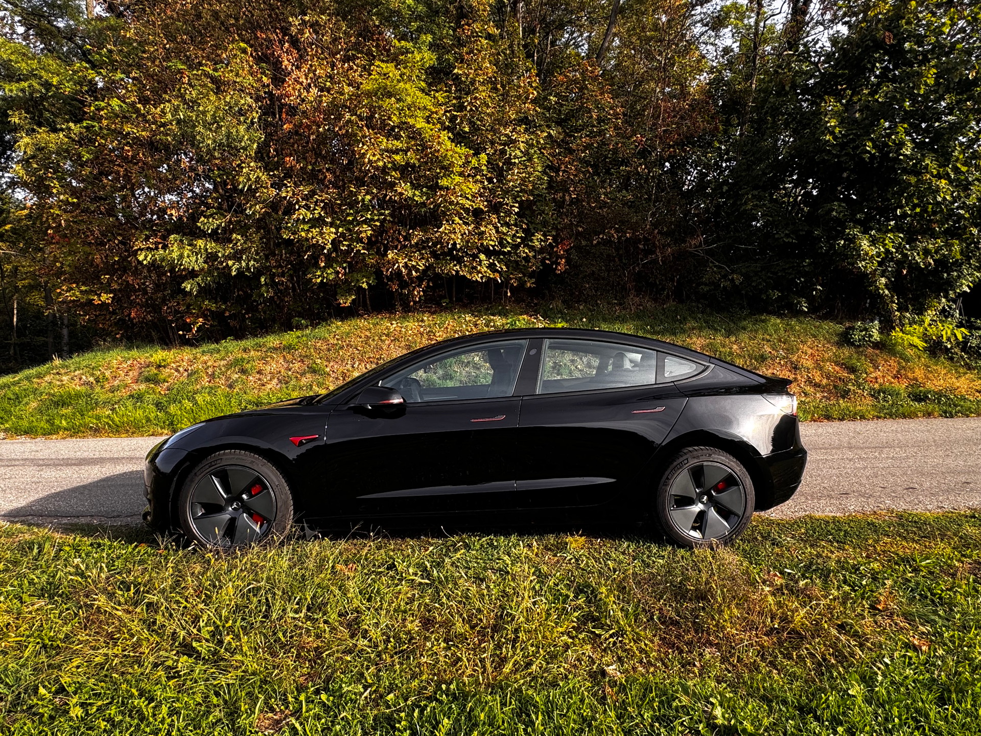 TESLA MODEL 3-image-1