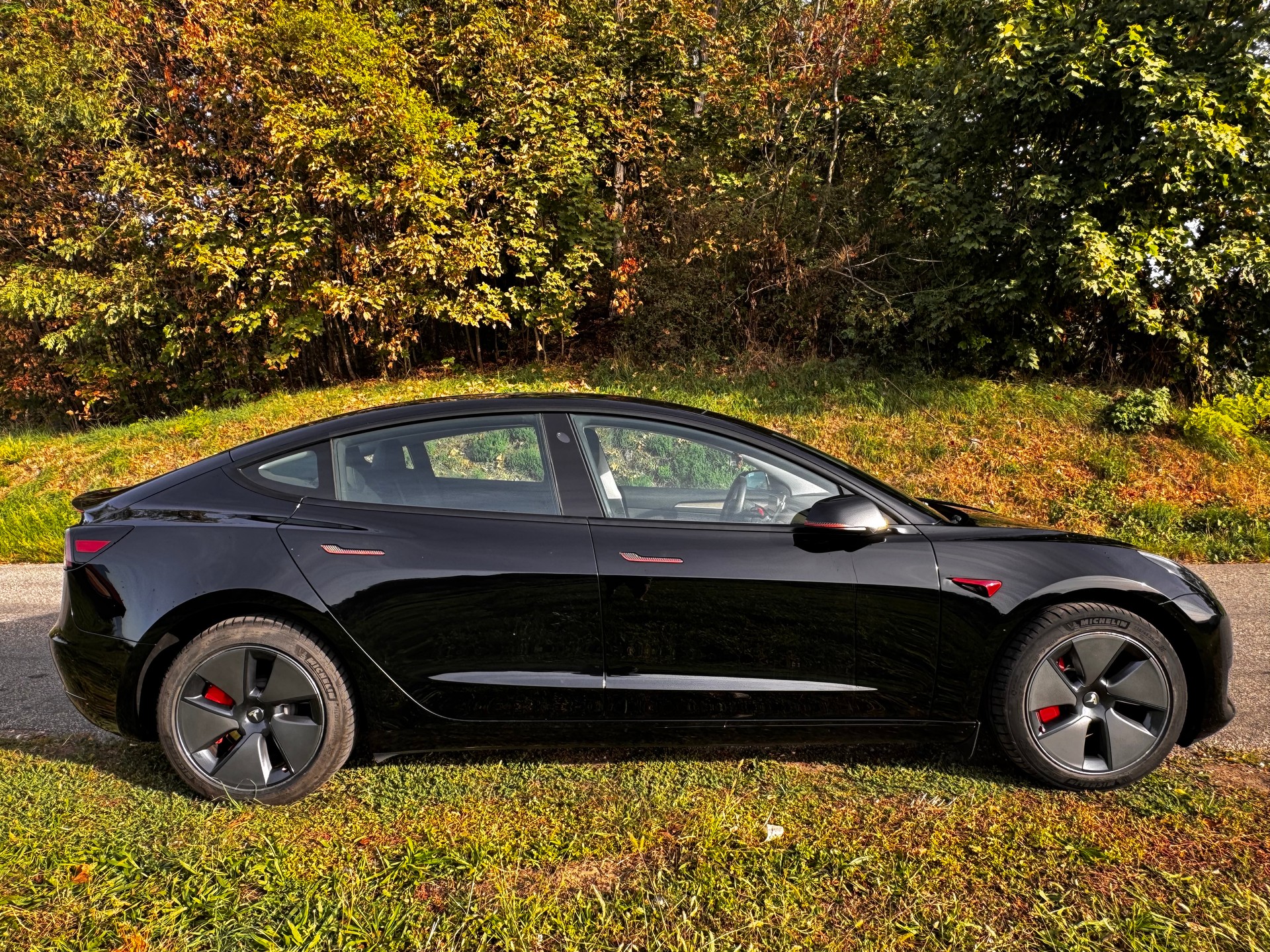 TESLA MODEL 3-image-0