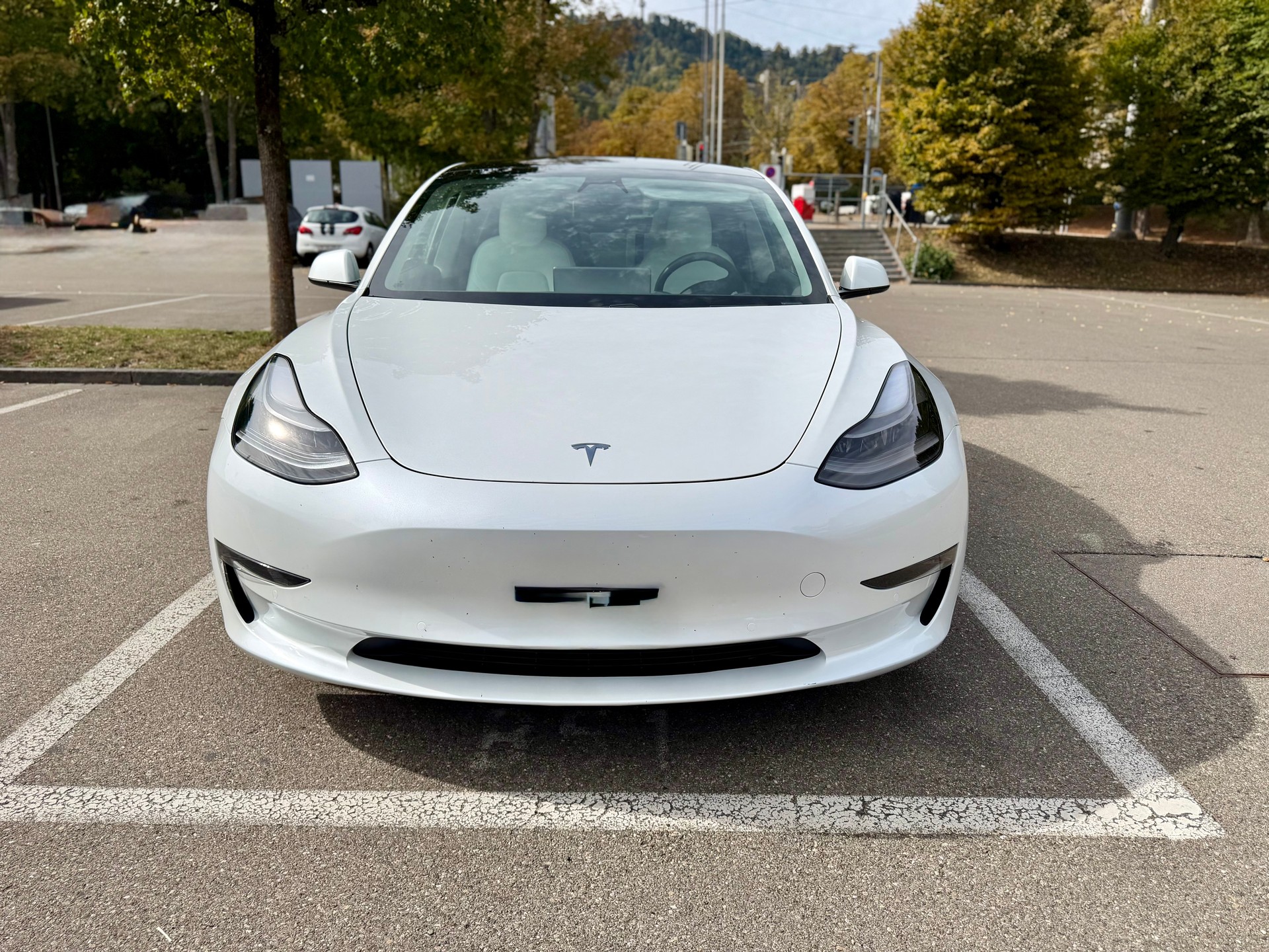 TESLA Model 3 Performance Dual Motor AWD-image-2