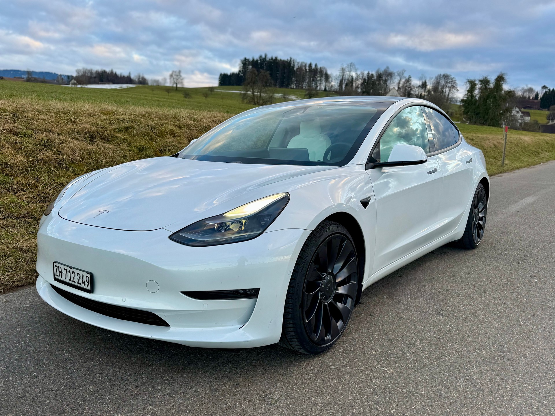 TESLA Model 3 Performance Dual Motor AWD-image-0