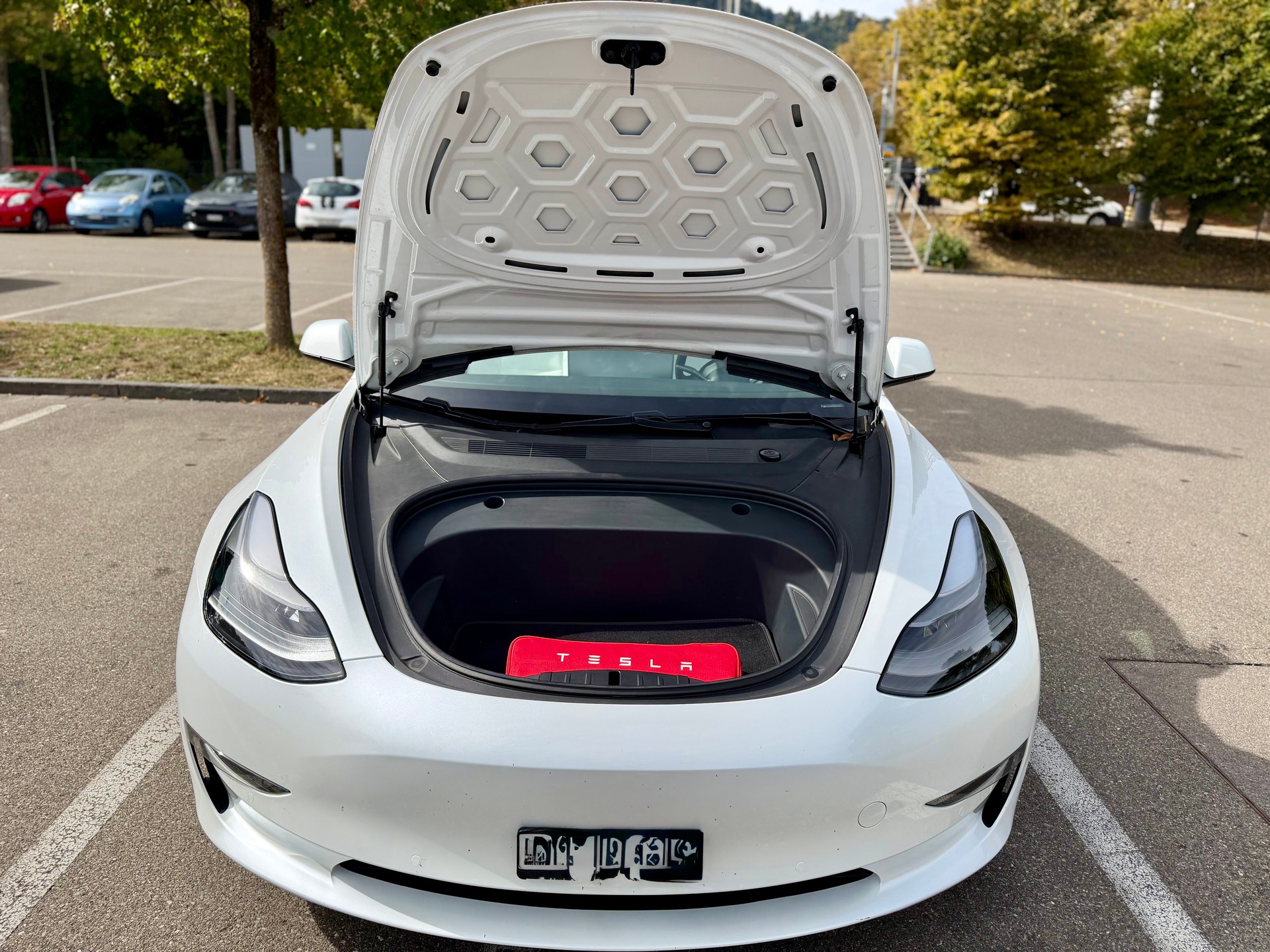 TESLA Model 3 Performance Dual Motor AWD-image-5