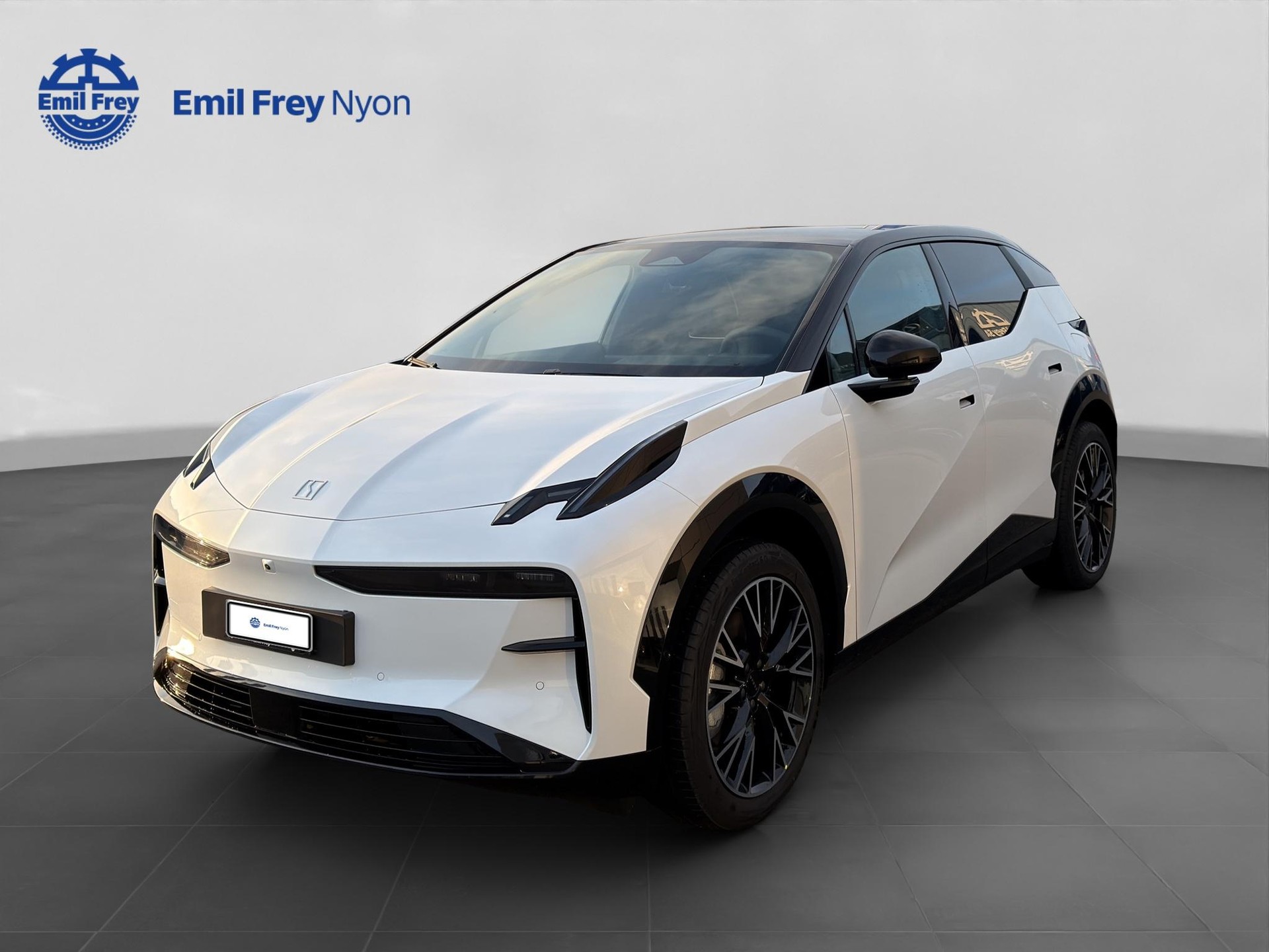 ZEEKR X Privilege AWD