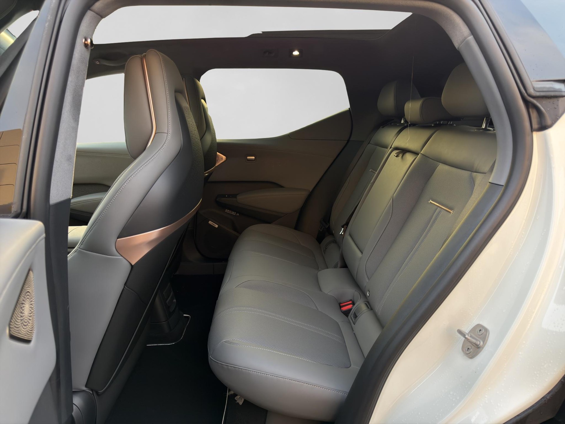 ZEEKR X Privilege AWD-image-6