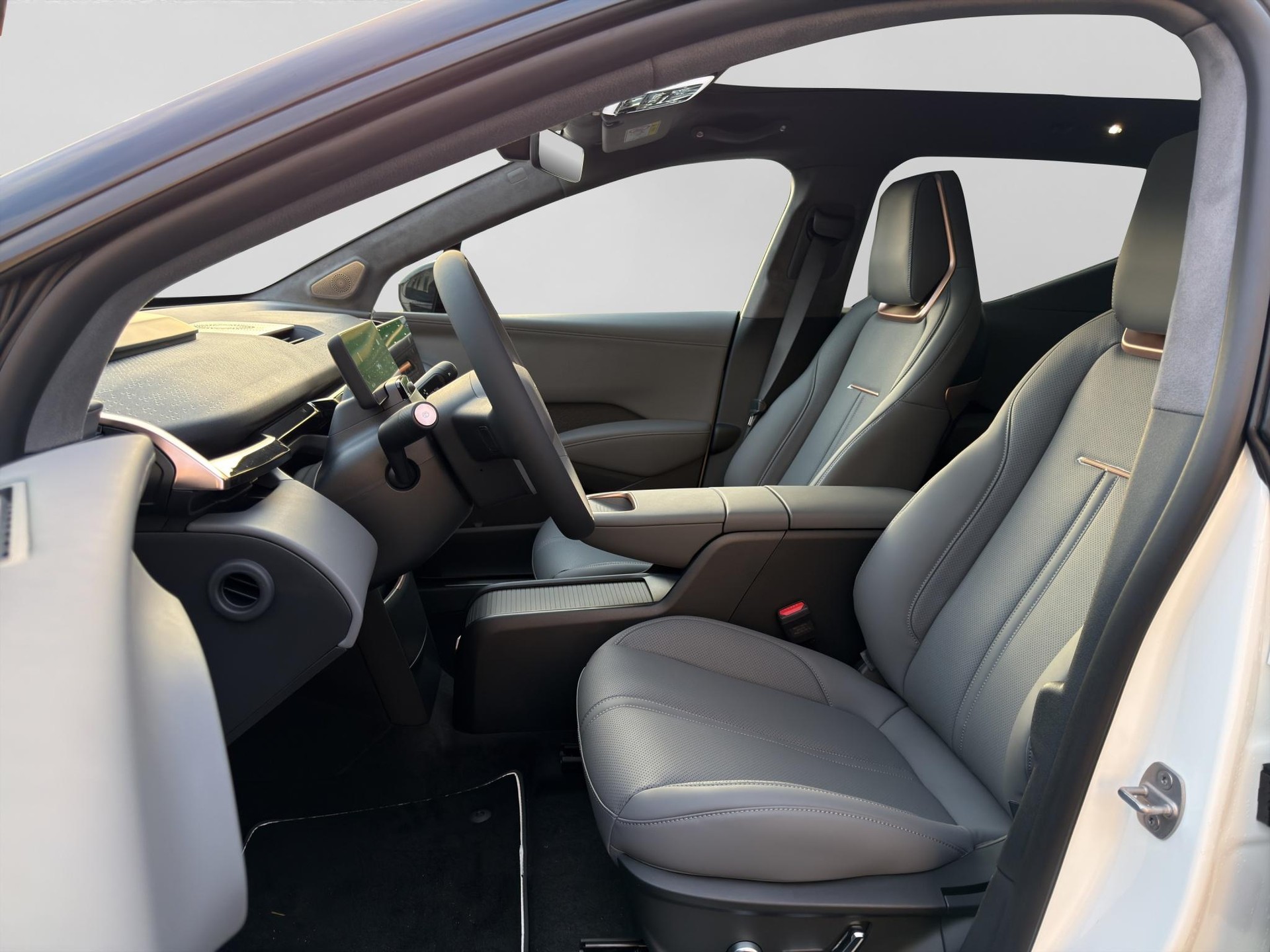 ZEEKR X Privilege AWD-showroom-element-1
