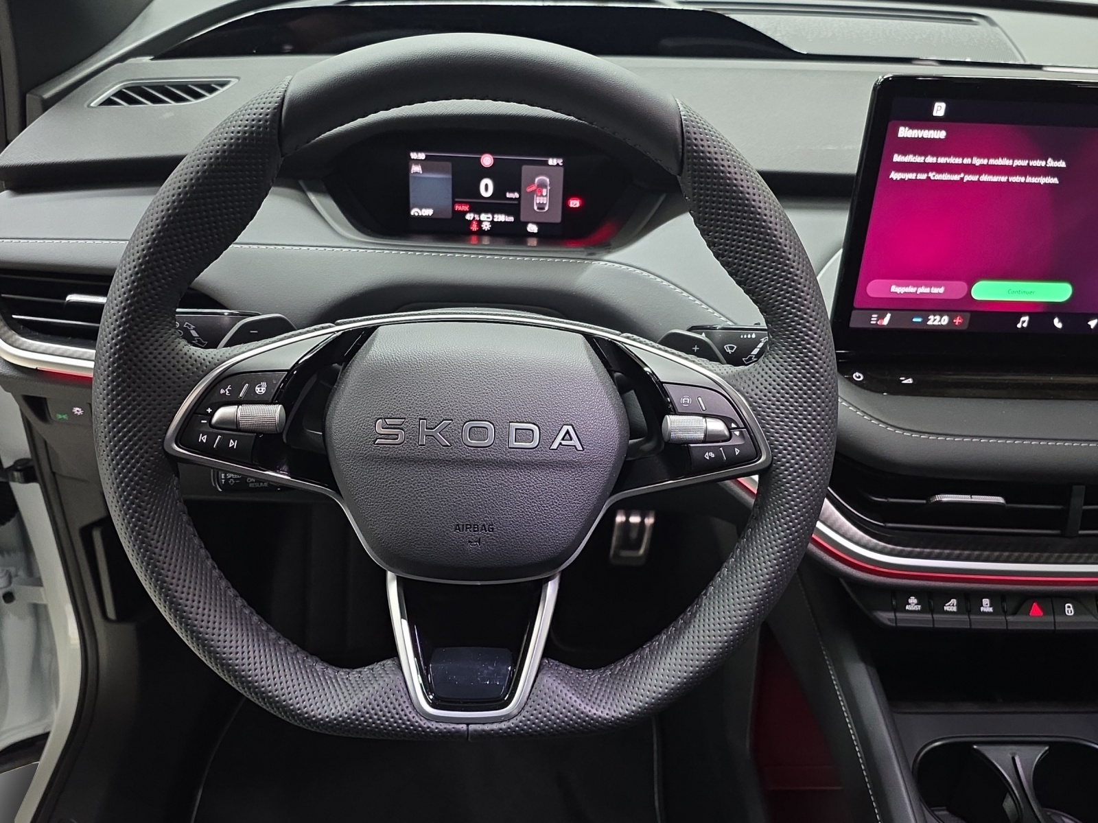 SKODA Enyaq 85x Sportline 4x4-image-9