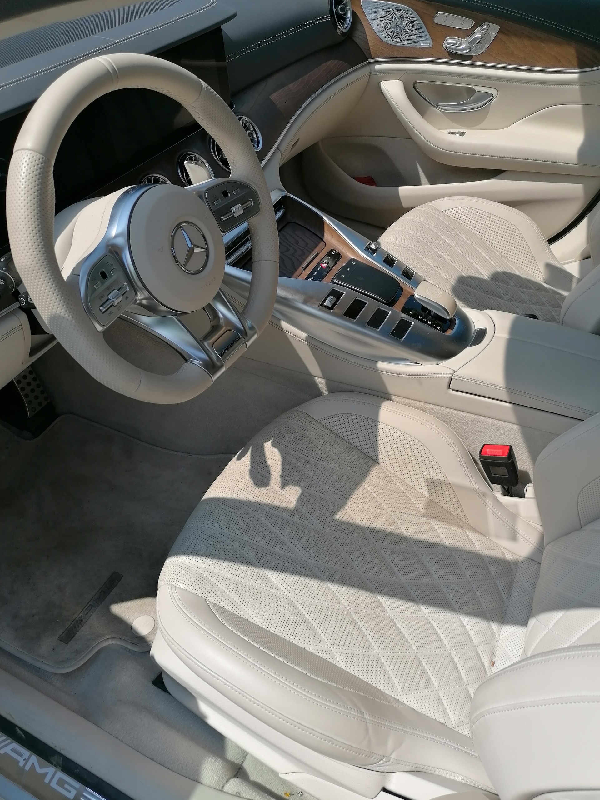 MERCEDES-BENZ AMG GT 63 S 4matic+-image-4