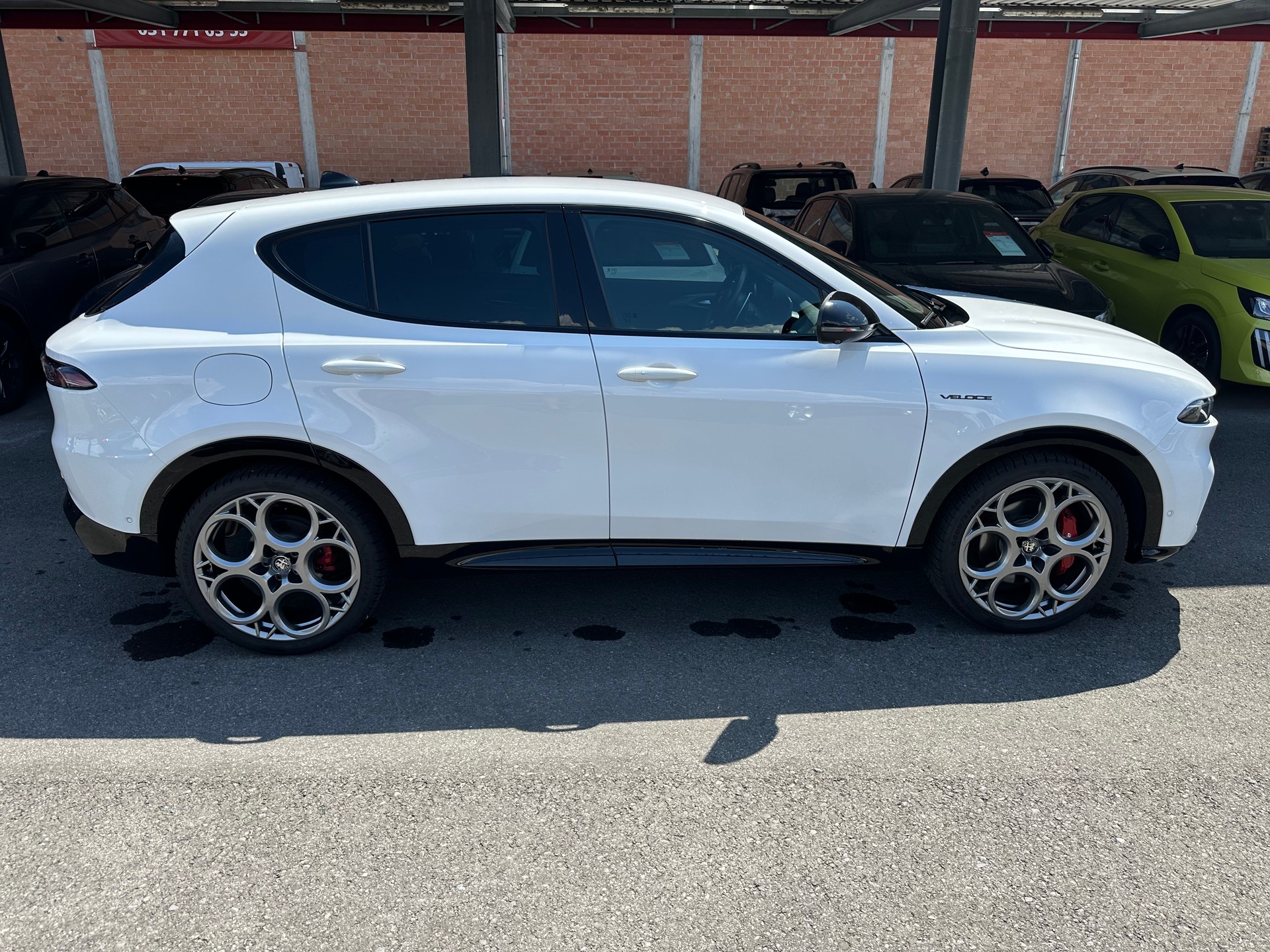 ALFA ROMEO Tonale 1.5 48V Hybrid Veloce Premium Tech-image-1