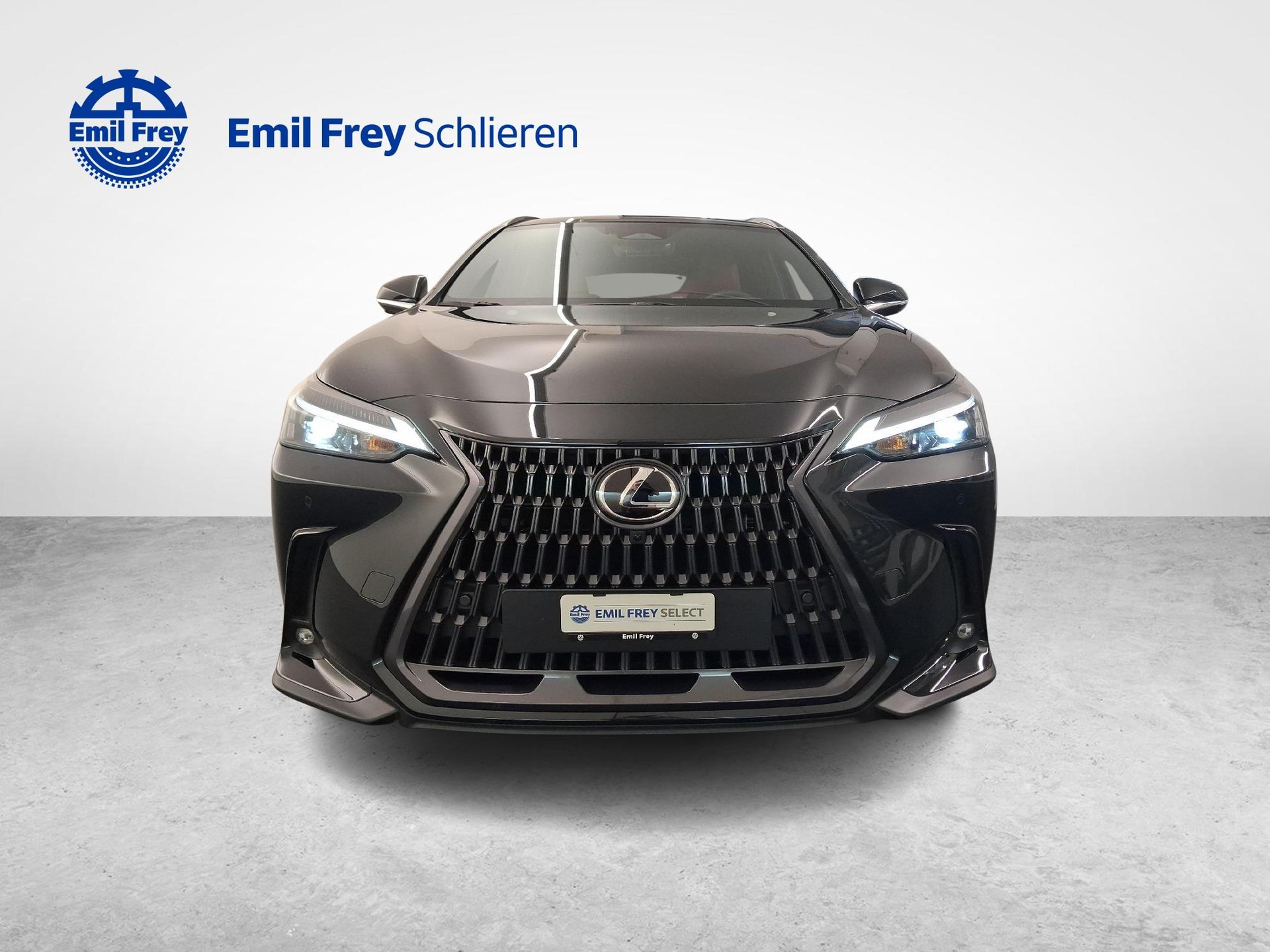 LEXUS NX 450h+ Comfort-image-7