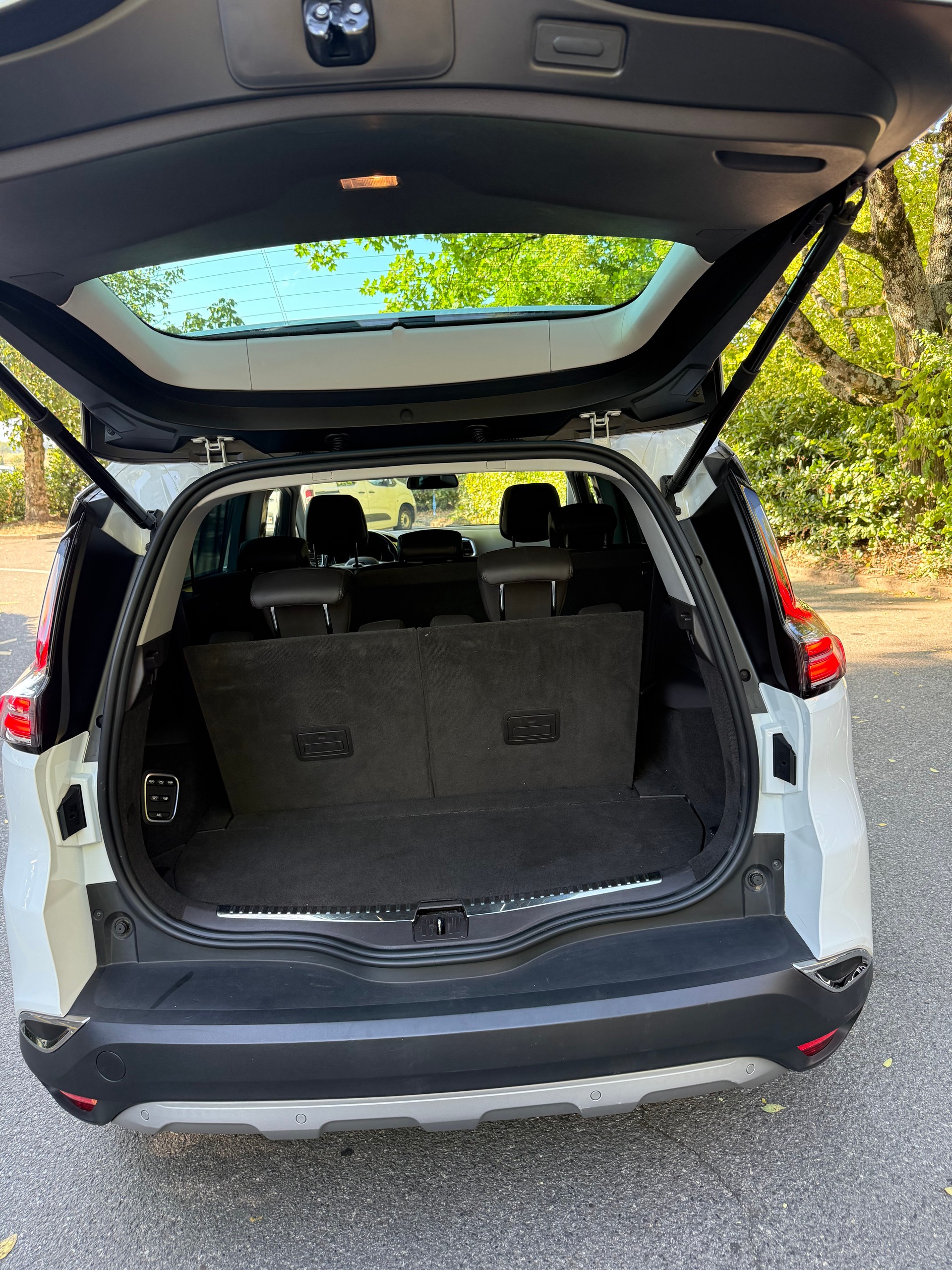 RENAULT Espace 2.0 dCi Business EDC-image-10