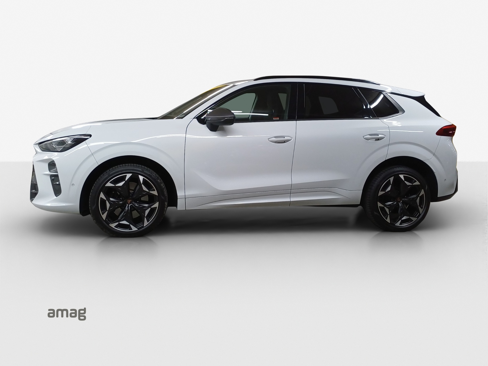 CUPRA Terramar 2.0 TSI DSG 4Drive VZ-image-1