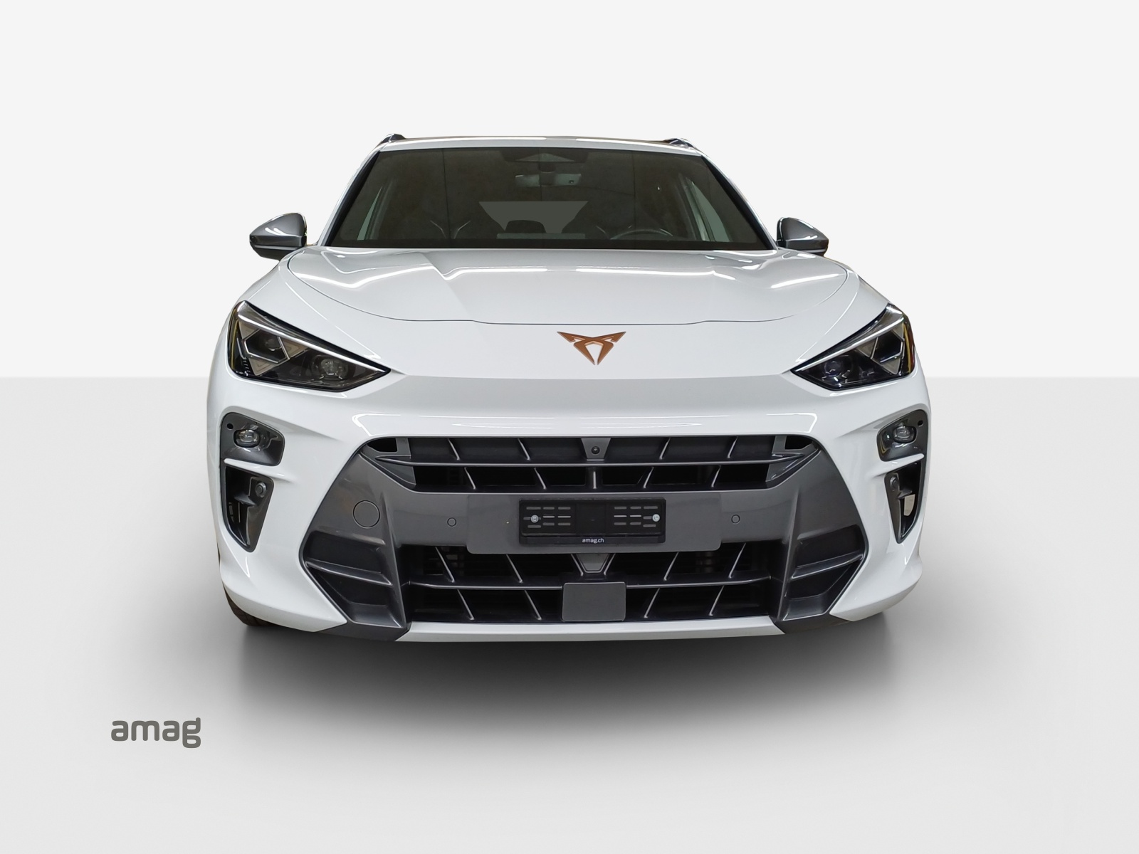 CUPRA Terramar 2.0 TSI DSG 4Drive VZ-image-6