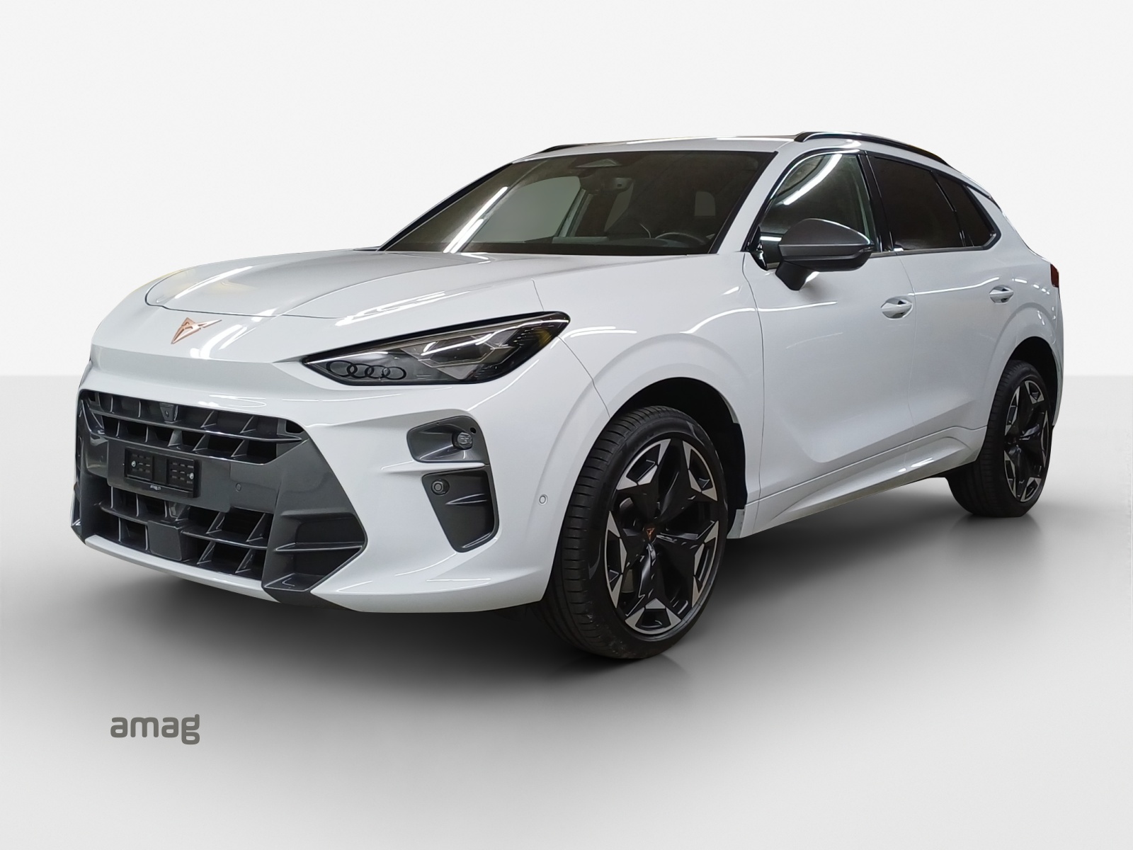 CUPRA Terramar 2.0 TSI DSG 4Drive VZ-image-0