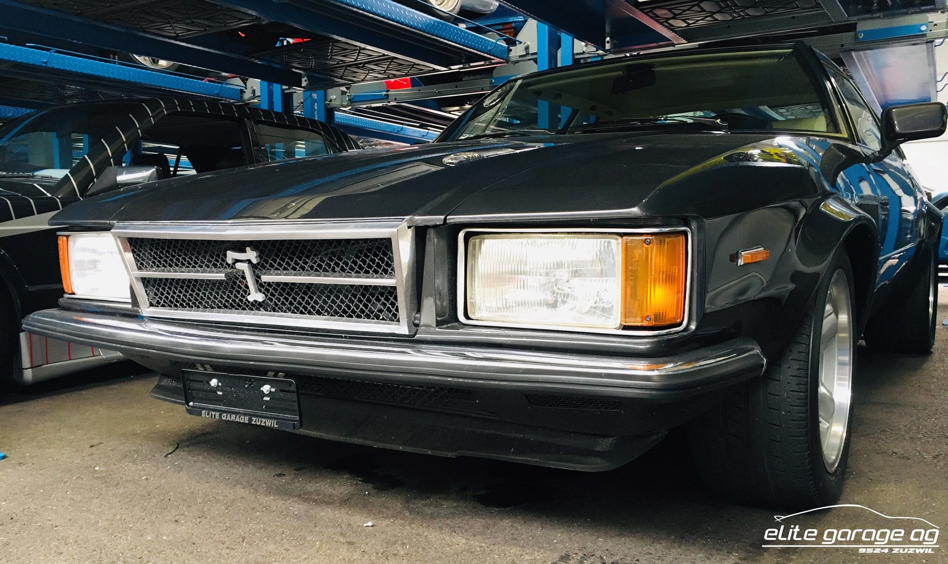 DE TOMASO LONGCHAMP-image-1