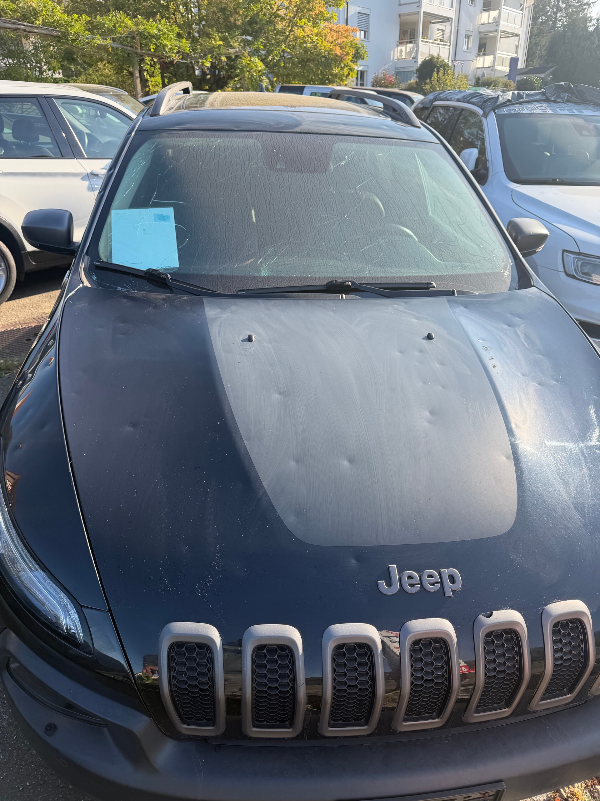 JEEP Cherokee 3.2 Trailhawk AWD 9ATX-image-12