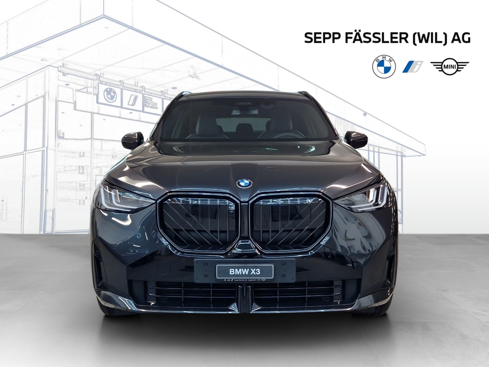 BMW X3 xDrive 48V 40d M Sport Pro-image-24