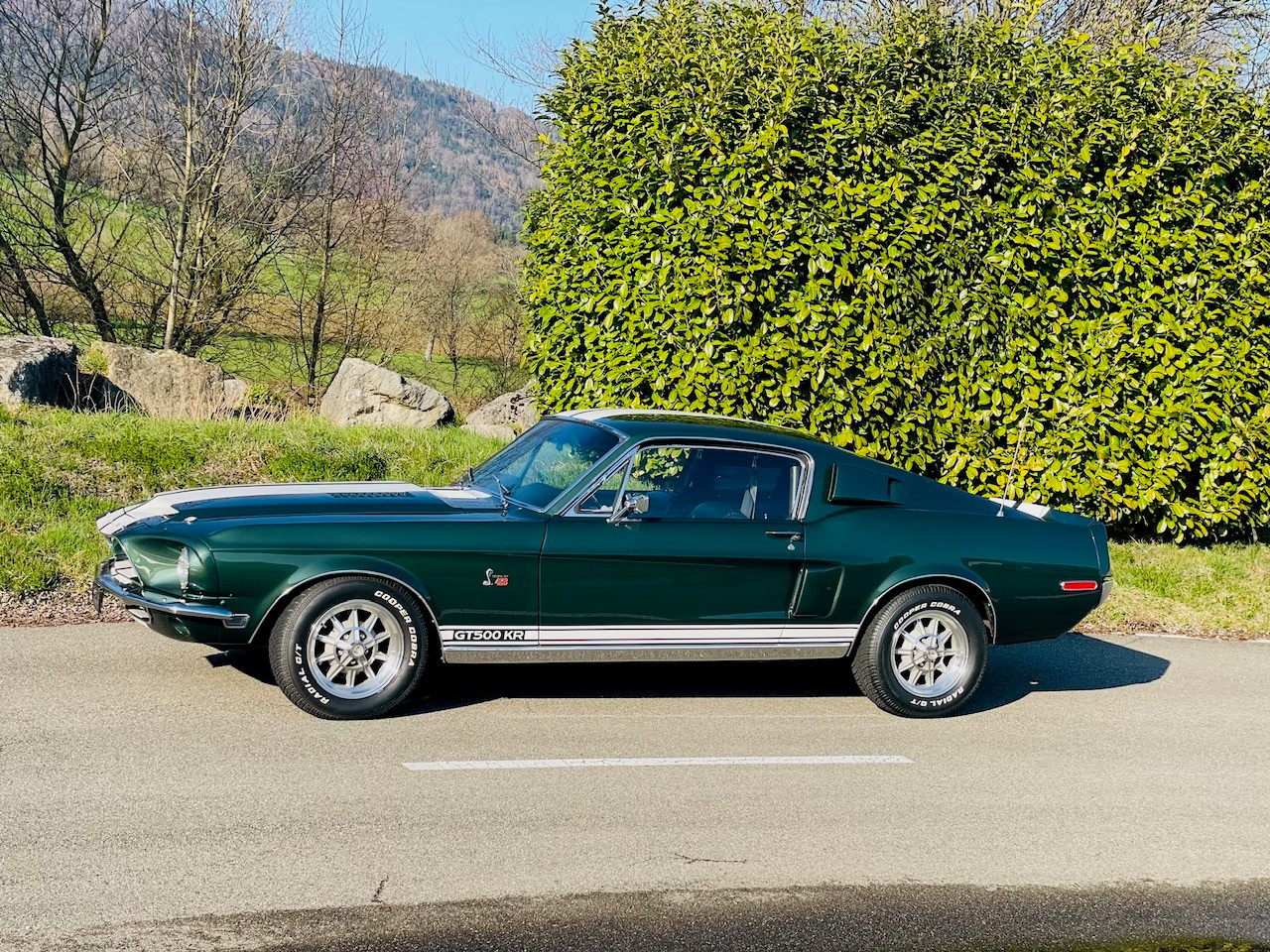 FORD Shelby GT500 KR 1968-image-2