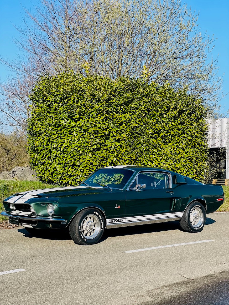 FORD Shelby GT500 KR 1968-image-1