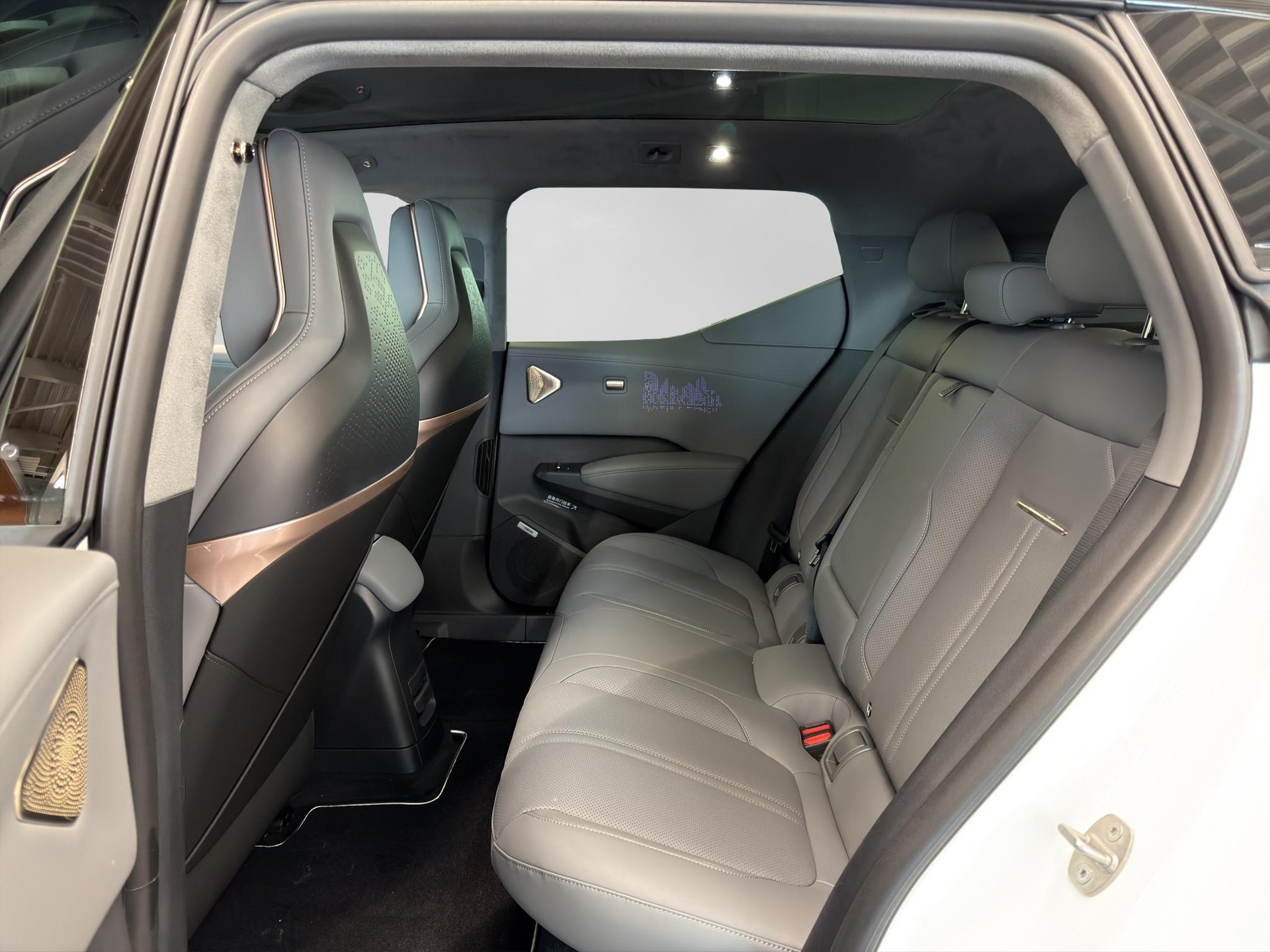 ZEEKR X Privilege AWD-image-6