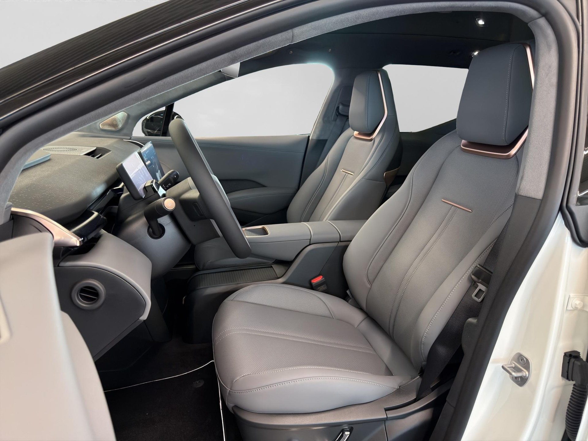ZEEKR X Privilege AWD-showroom-element-1