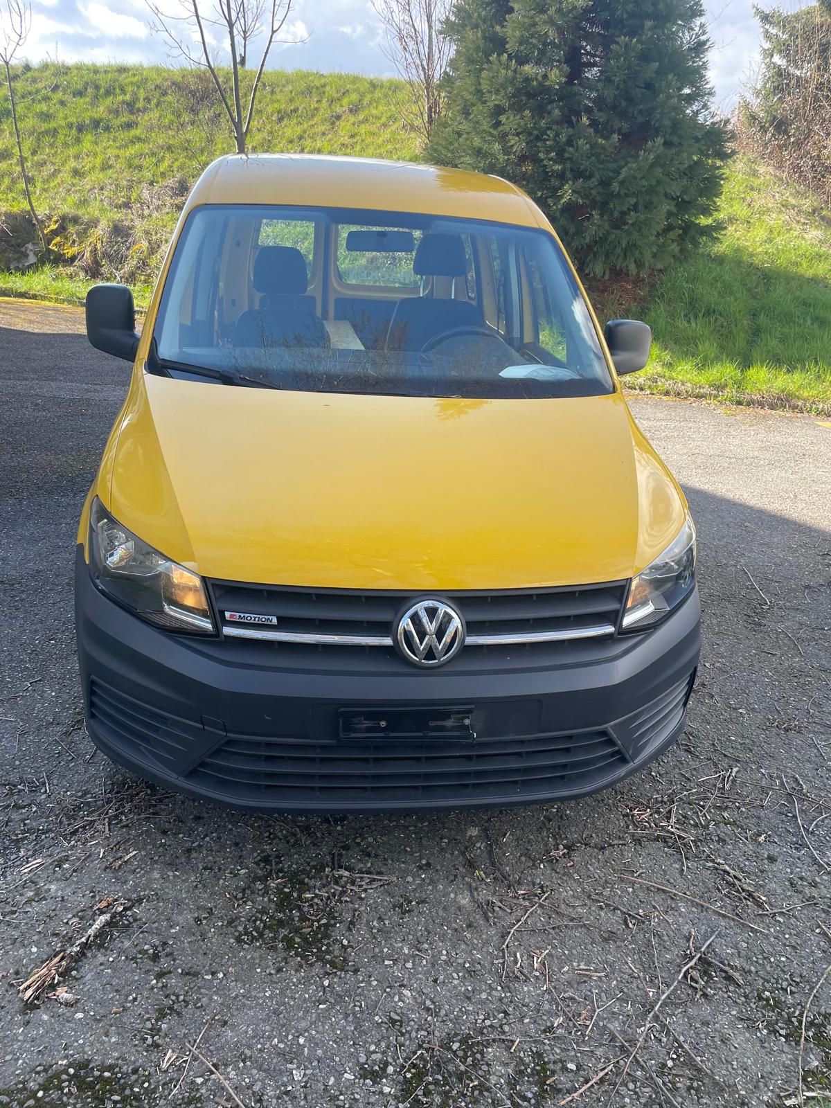 VW Kasten-image-0