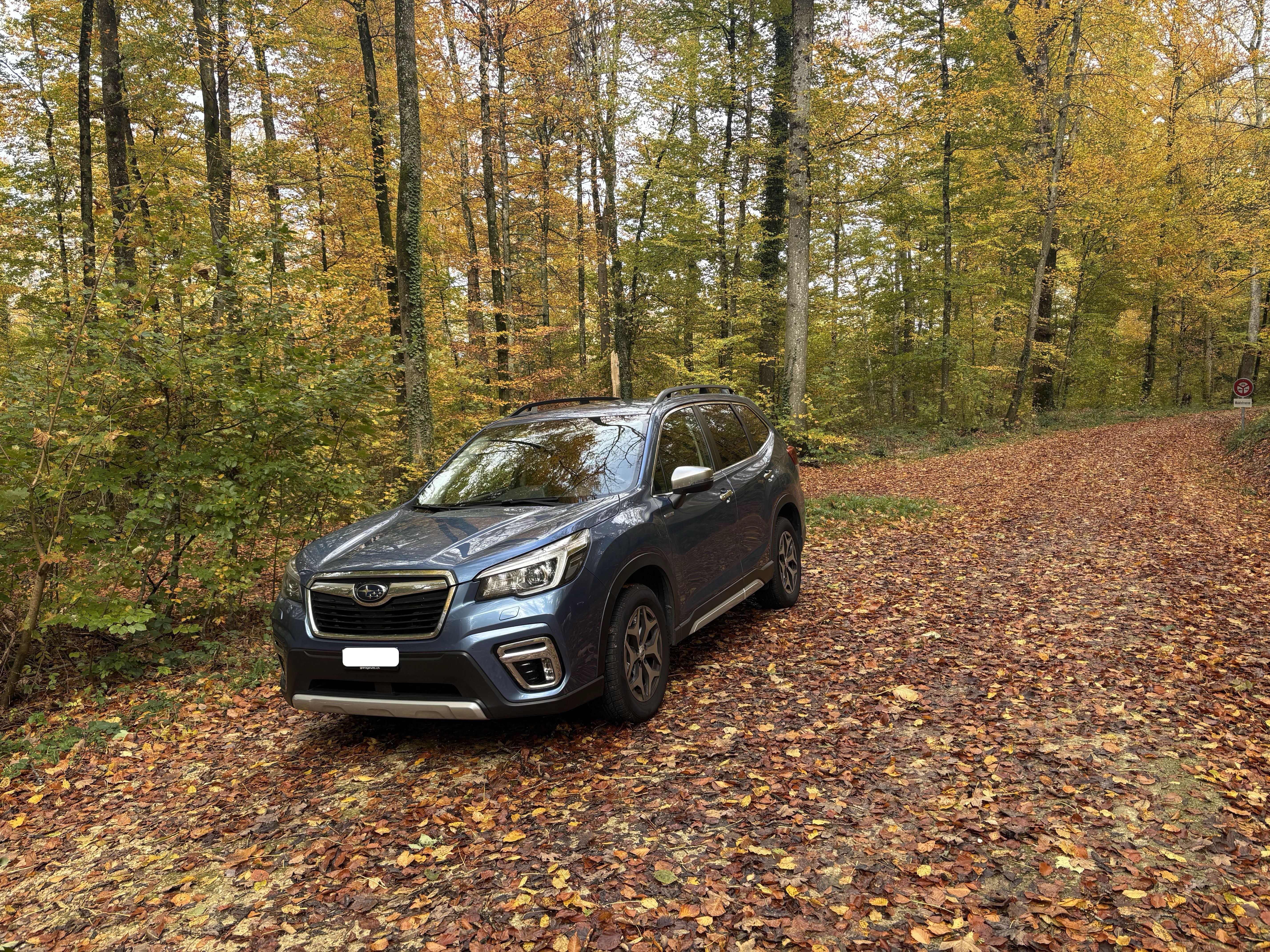 SUBARU 2.0i e-Boxer Swiss Plus — slika 1
