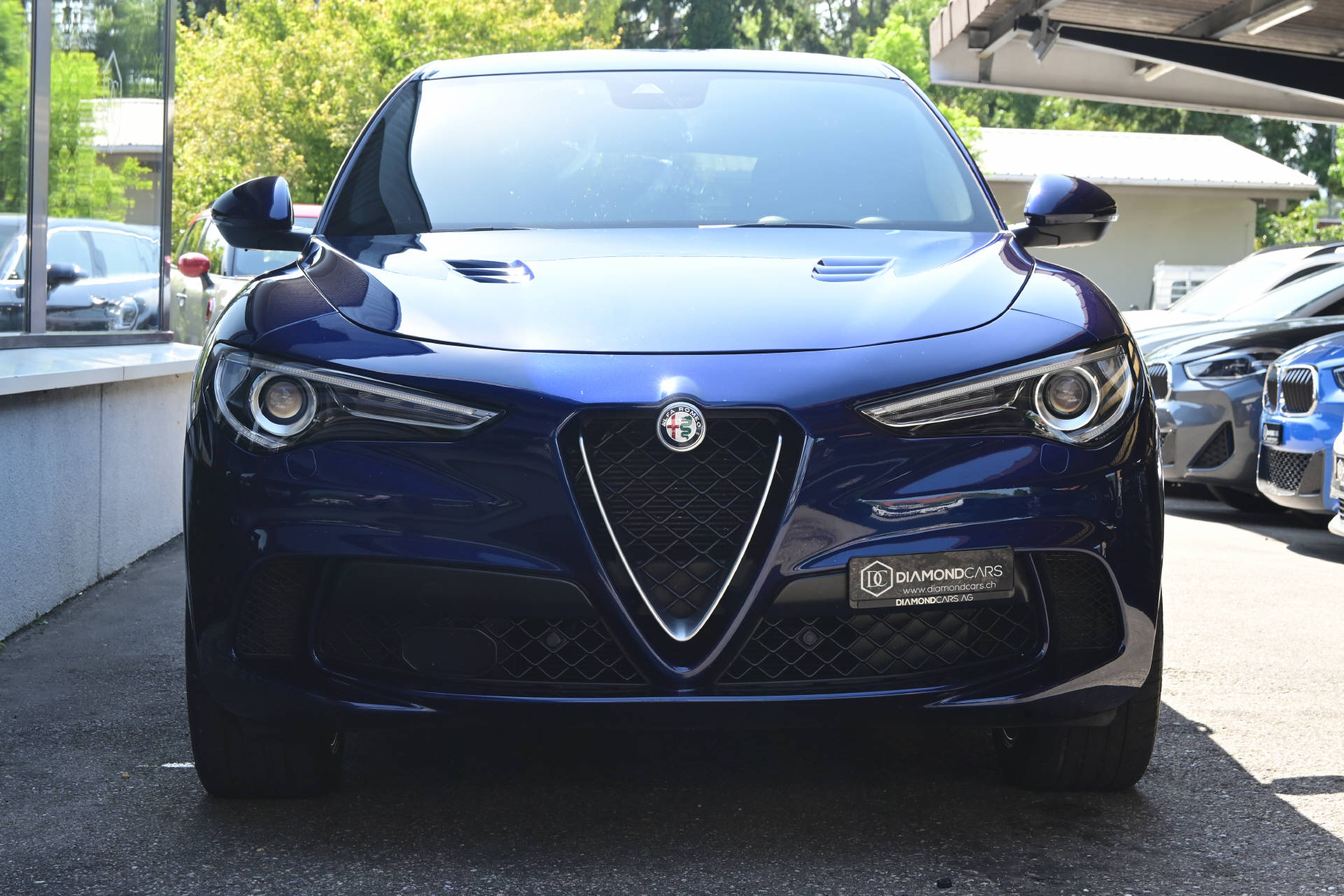 ALFA ROMEO Stelvio 2.9 V6 Biturbo Q4 Quadrifoglio *Montecarlo Blau*-showroom-element-1