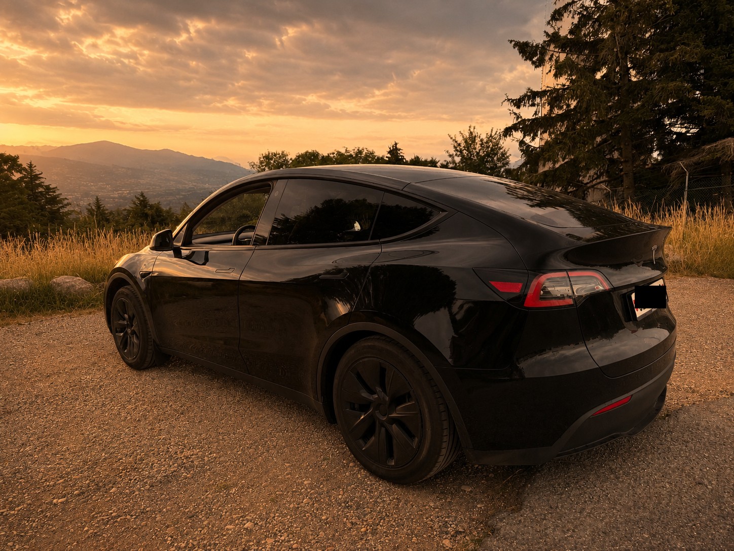 TESLA Model Y RWD-image-1