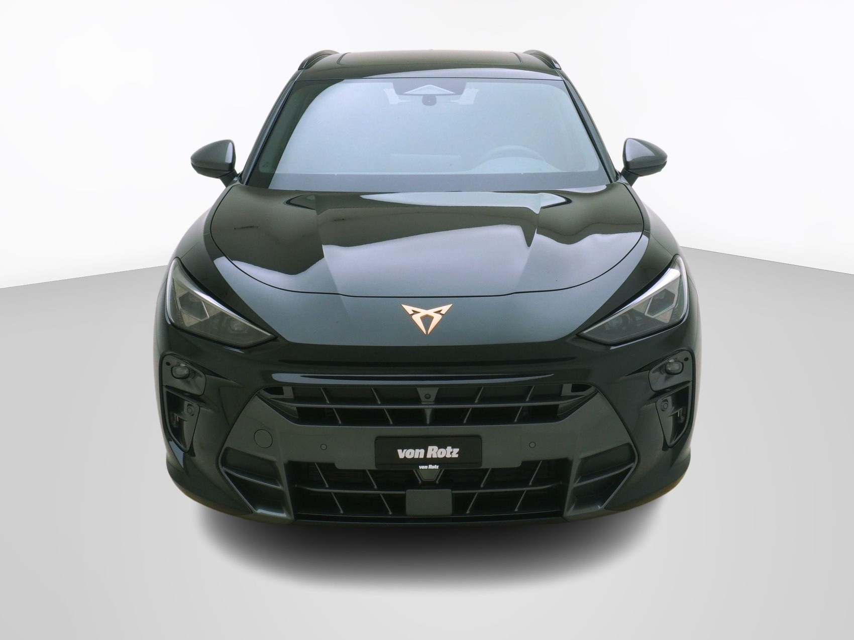 CUPRA Terramar 2.0 TSI VZ 4Drive DSG-image-6