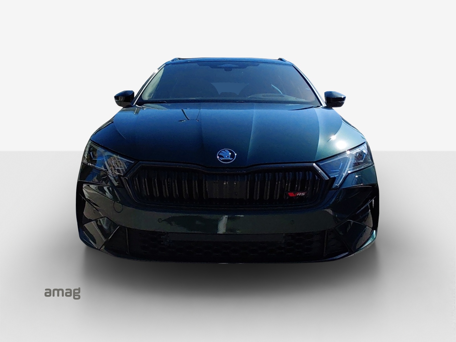 SKODA Octavia Combi 2.0 TSI DSG RS 30 Years Edition-image-6