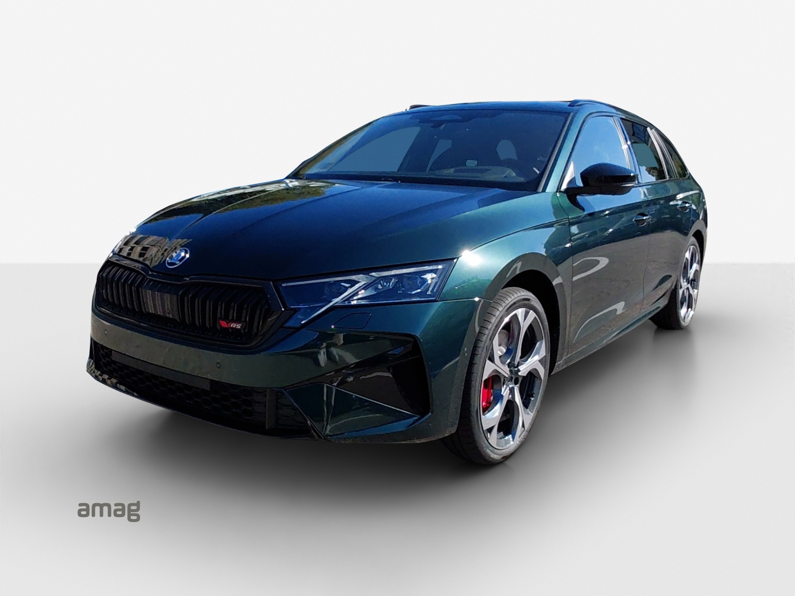 SKODA Octavia Combi 2.0 TSI DSG RS 30 Years Edition-image-0